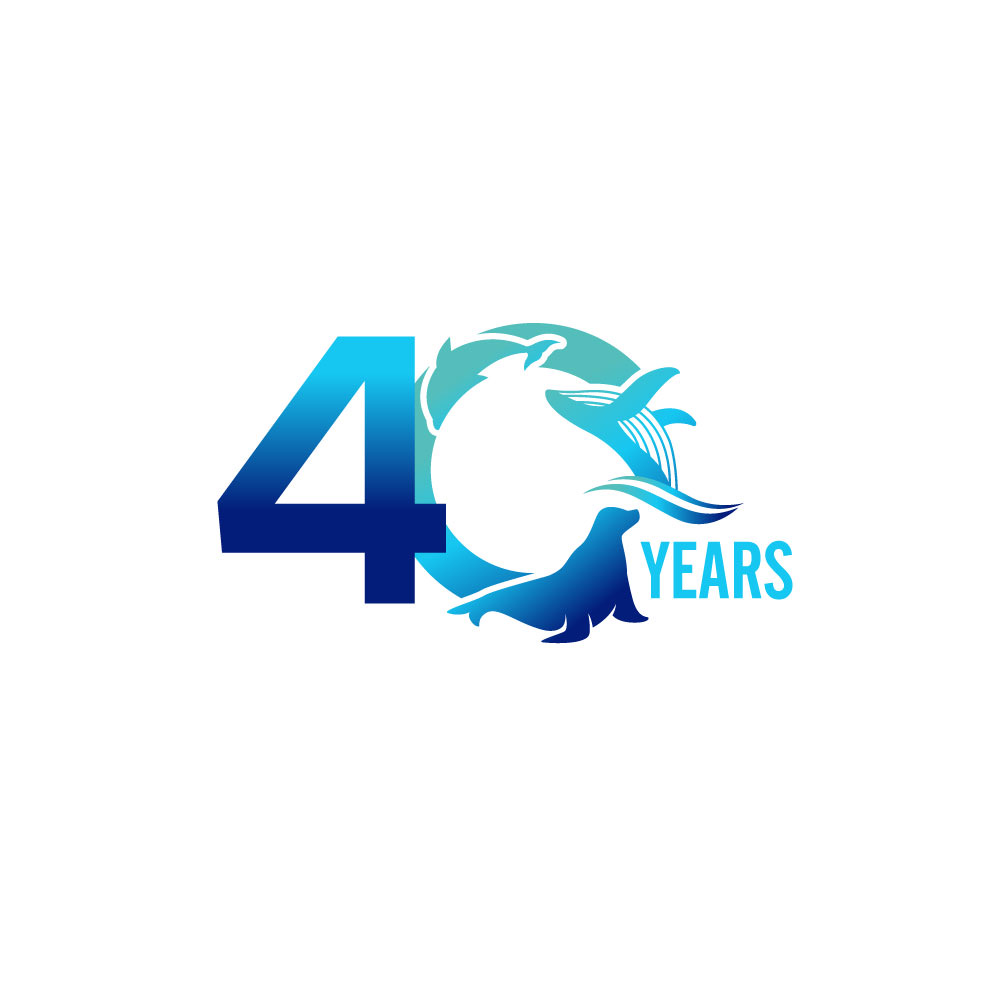 Logo Design by YourLogoMaster for this project | Design #36020924