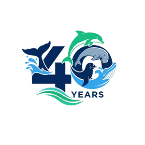 Logo Design by USIAD ANAS for this project | Design: #35874358