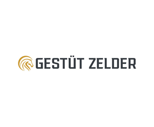 Logo Design by Thati Designs for Zeinpro GmbH | Design: #35882160