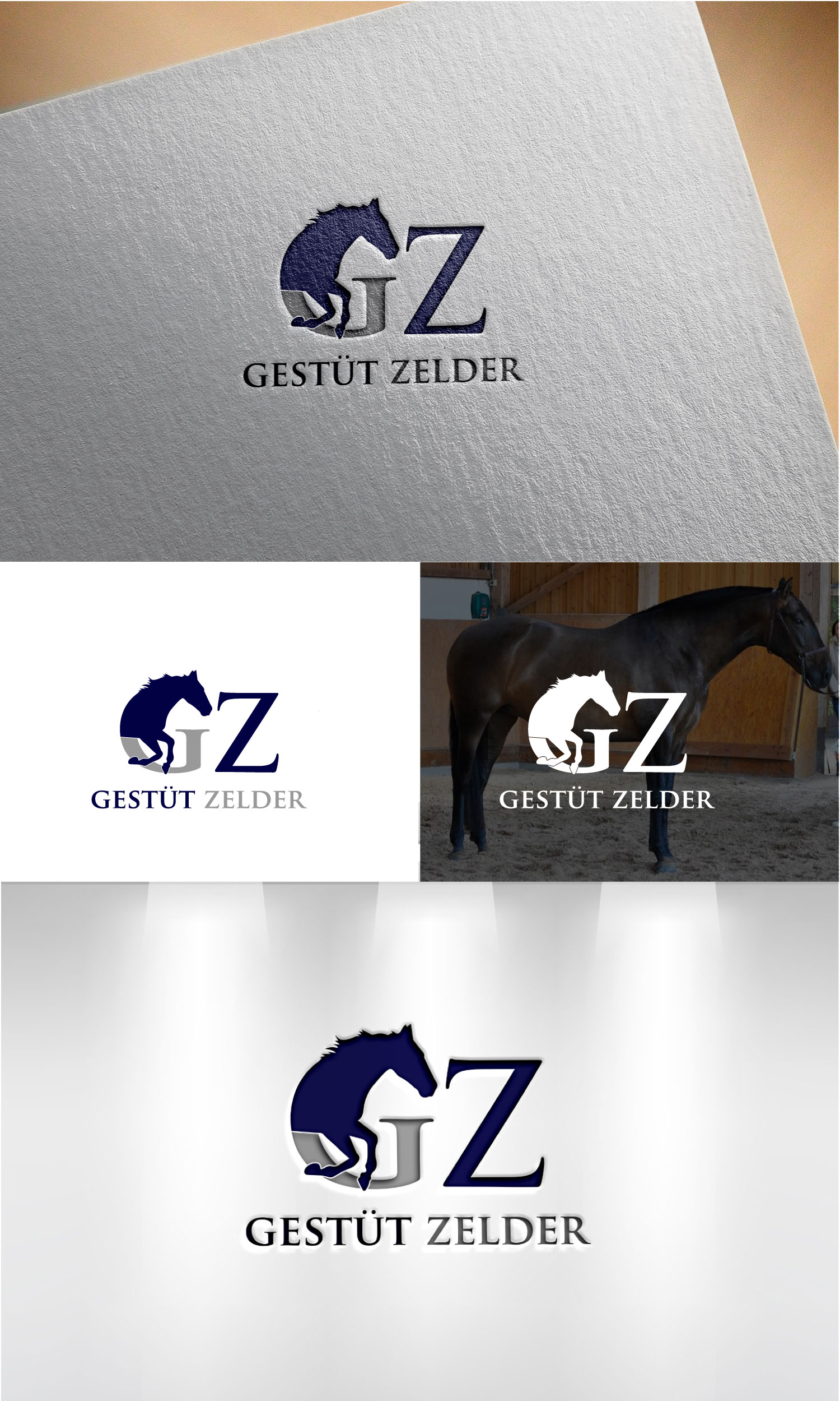 Logo Design by Mi Design1 for Zeinpro GmbH | Design #35872578