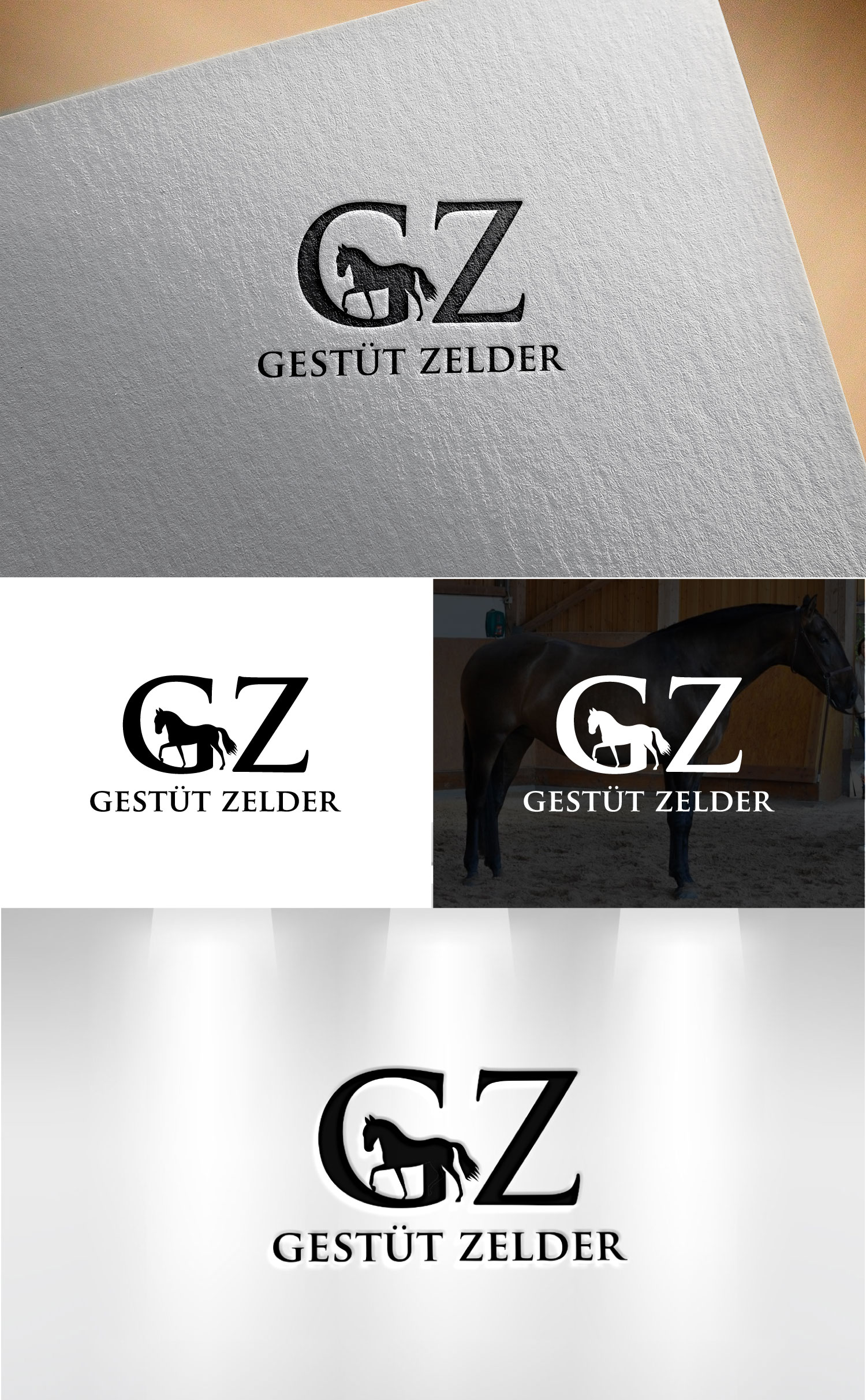 Logo Design by Mi Design1 for Zeinpro GmbH | Design #35873273