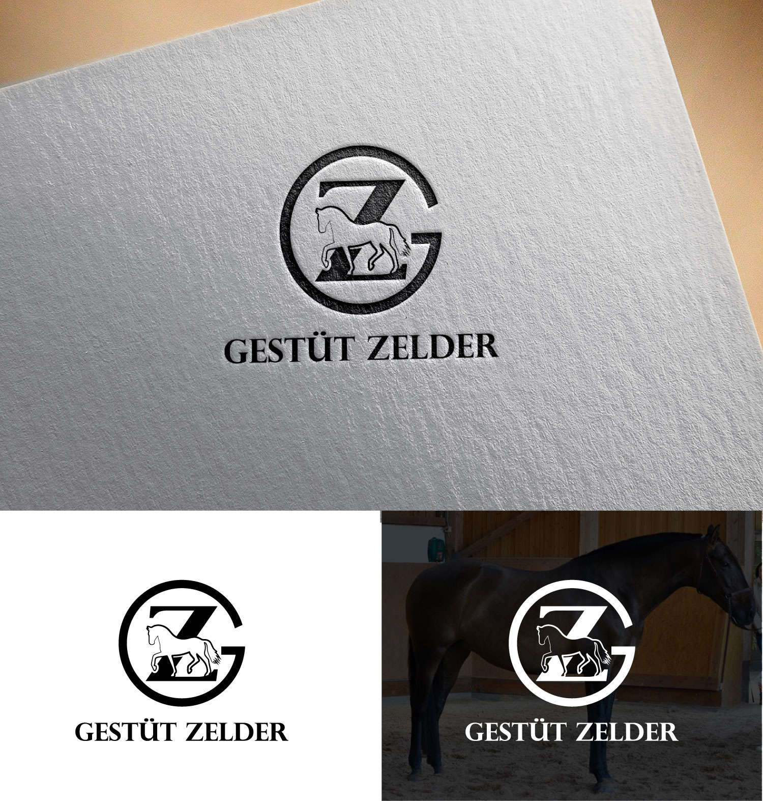 Logo Design by ax design2 for Zeinpro GmbH | Design #35873180