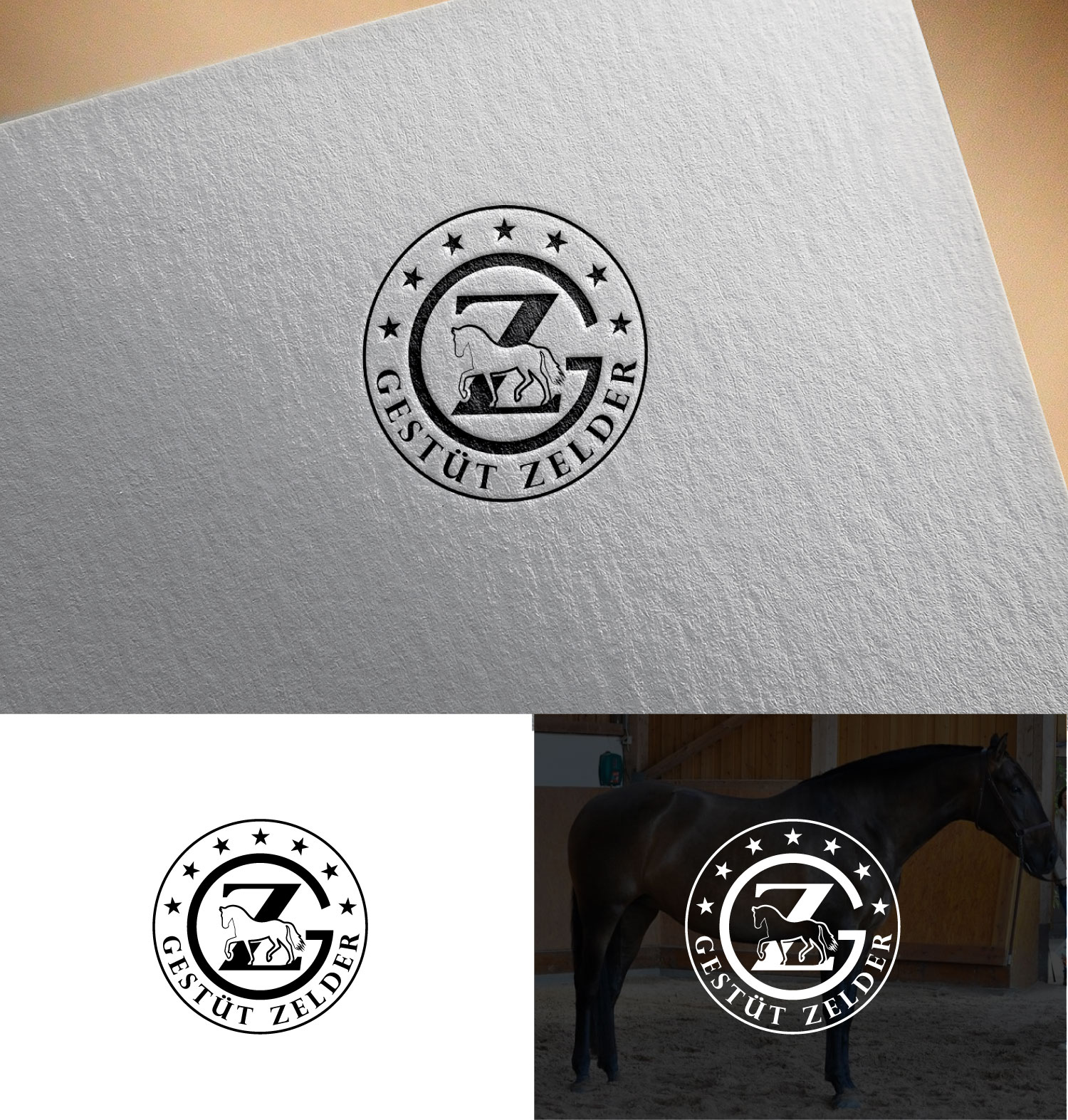 Logo Design by ax design2 for Zeinpro GmbH | Design #35873181