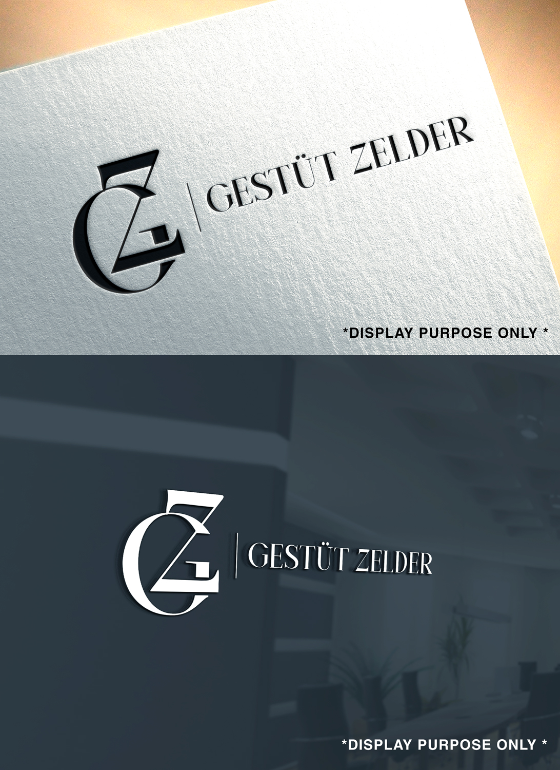 Logo Design by RaKu 2 for Zeinpro GmbH | Design #35905006