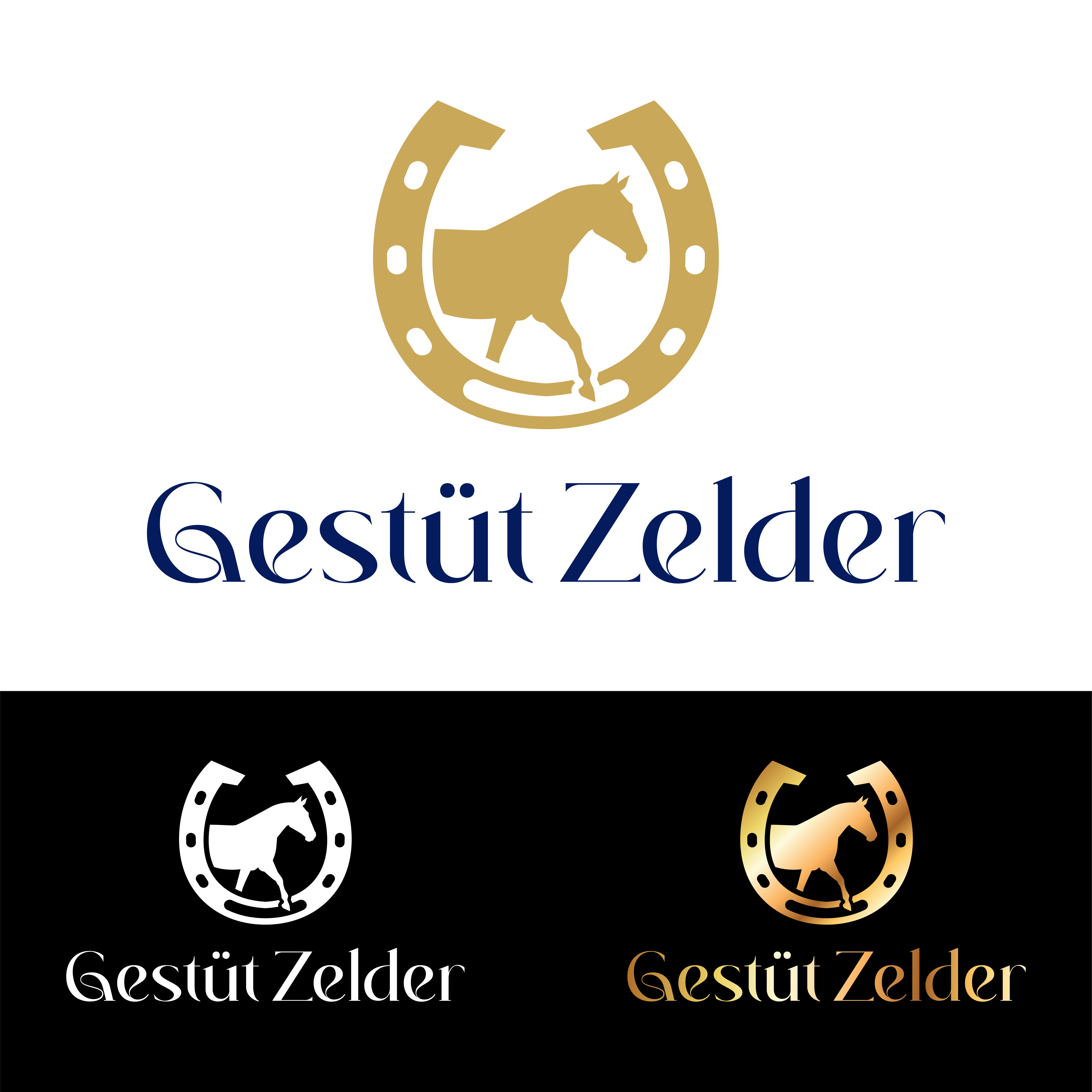 Logo Design by John Mark Arts for Zeinpro GmbH | Design #35872399