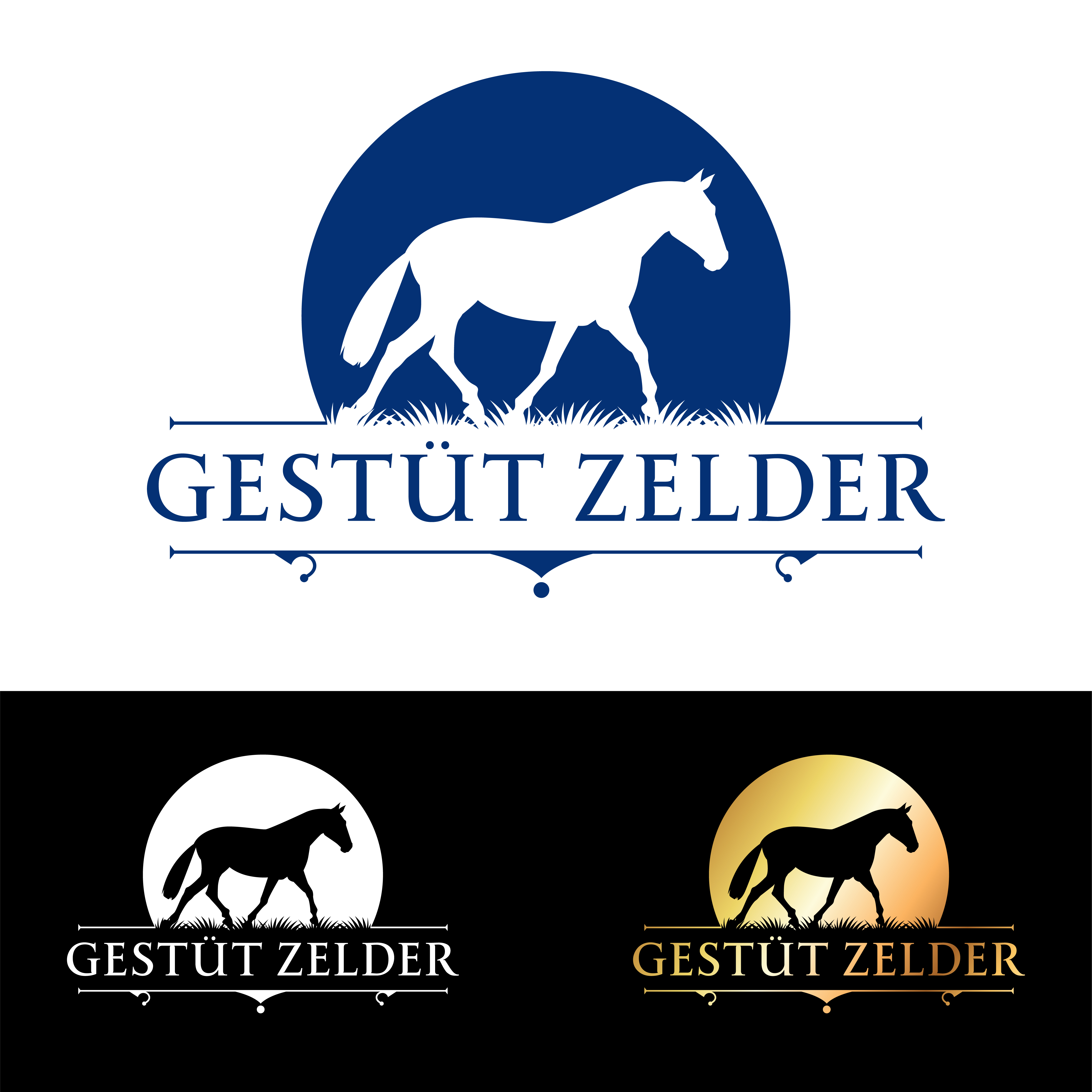 Design de Logo par John Mark Arts pour Zeinpro GmbH | Design #35872699