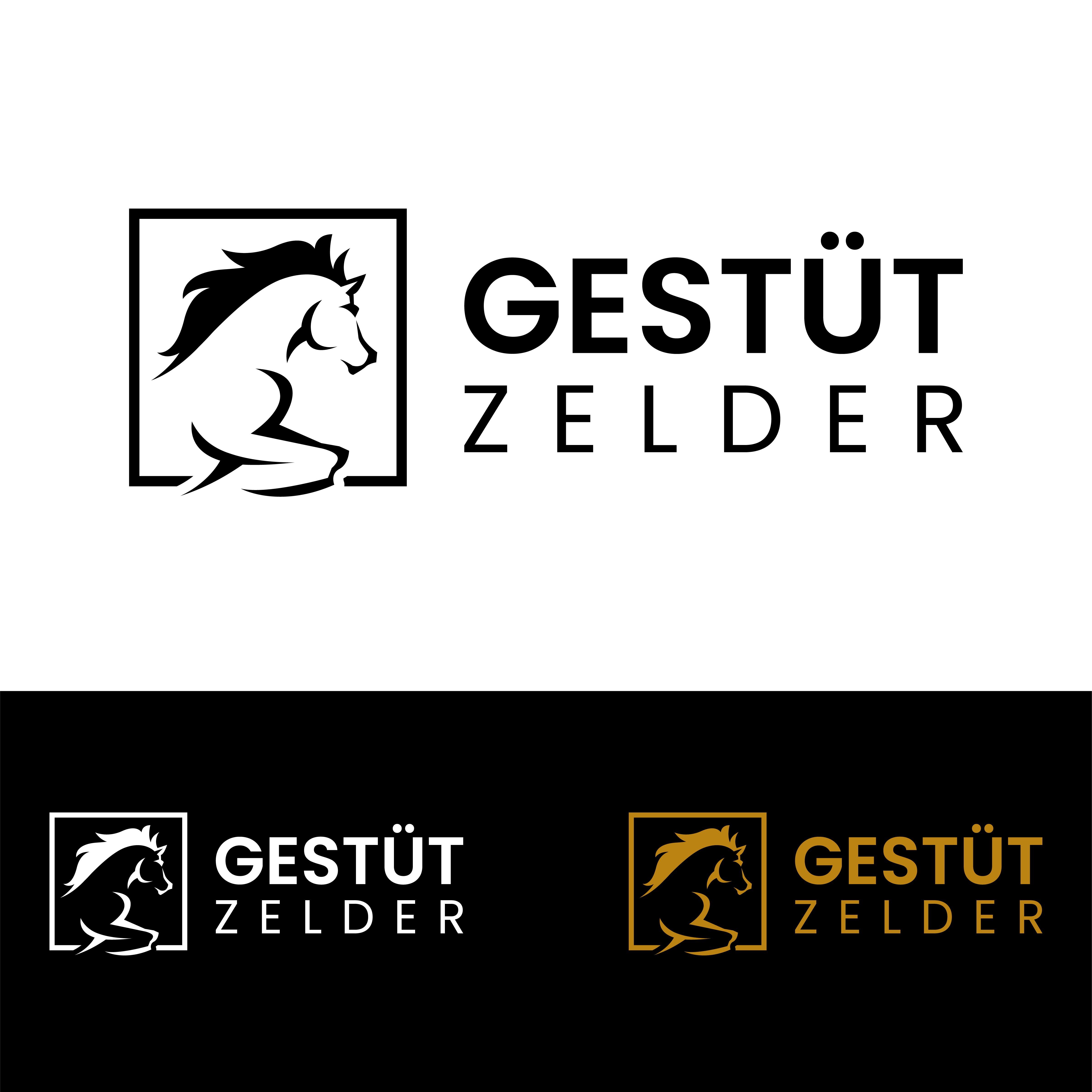 Design de Logo par John Mark Arts pour Zeinpro GmbH | Design #35875072