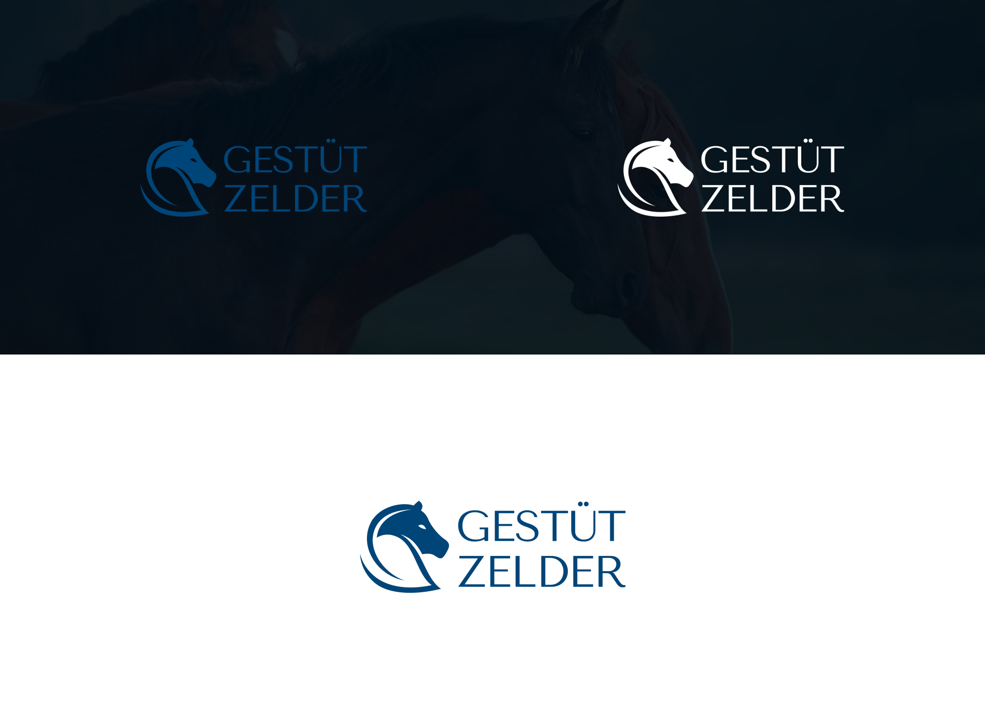 Logo Design by damakyjr for Zeinpro GmbH | Design #35875829