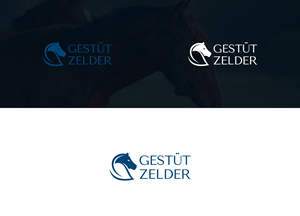 Logo Design by damakyjr for Zeinpro GmbH | Design: #35875829