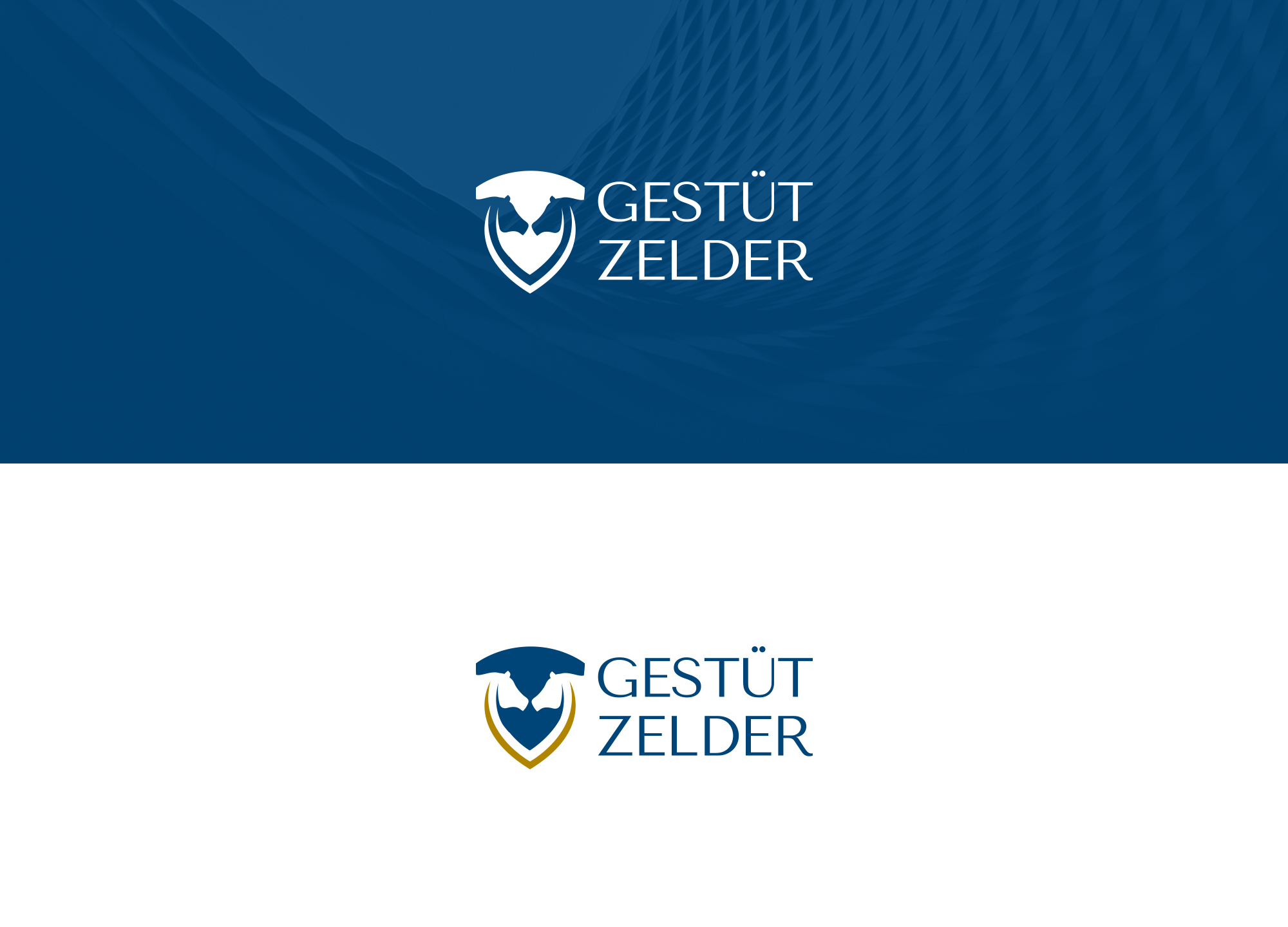 Logo Design by damakyjr for Zeinpro GmbH | Design #35875830