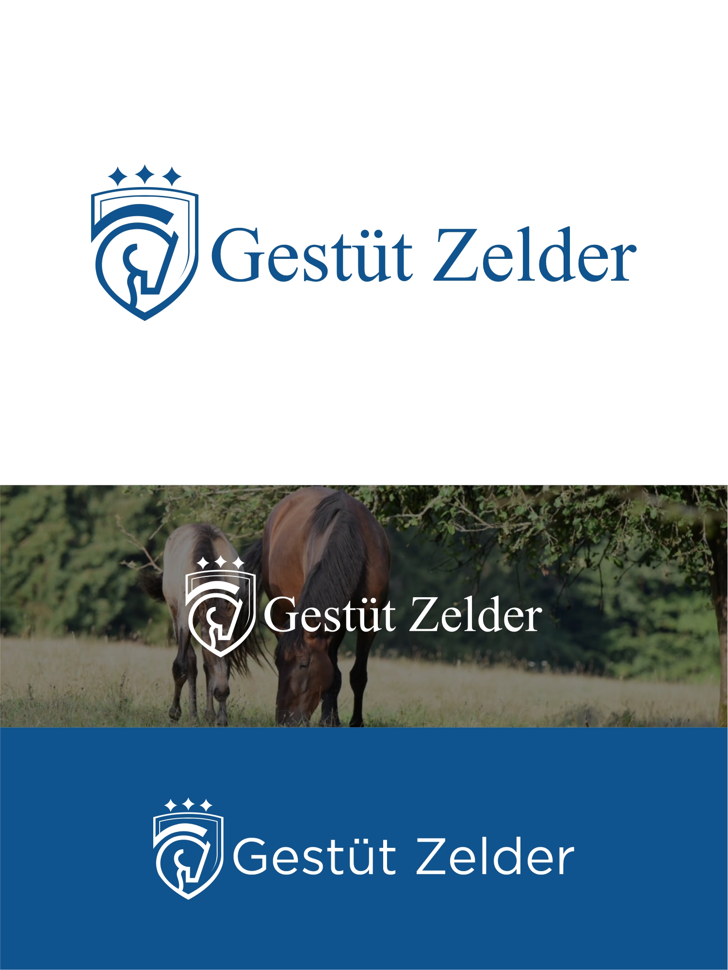 Logo Design by arumdesign for Zeinpro GmbH | Design #35872887