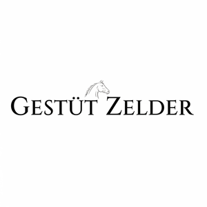 Logo Design by djavadesign for Zeinpro GmbH | Design: #35914052