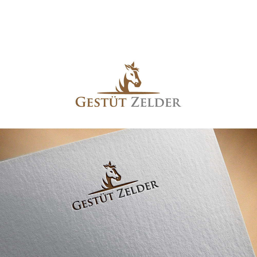 Logo Design by designhunt(verifiyed01) for Zeinpro GmbH | Design #35874478