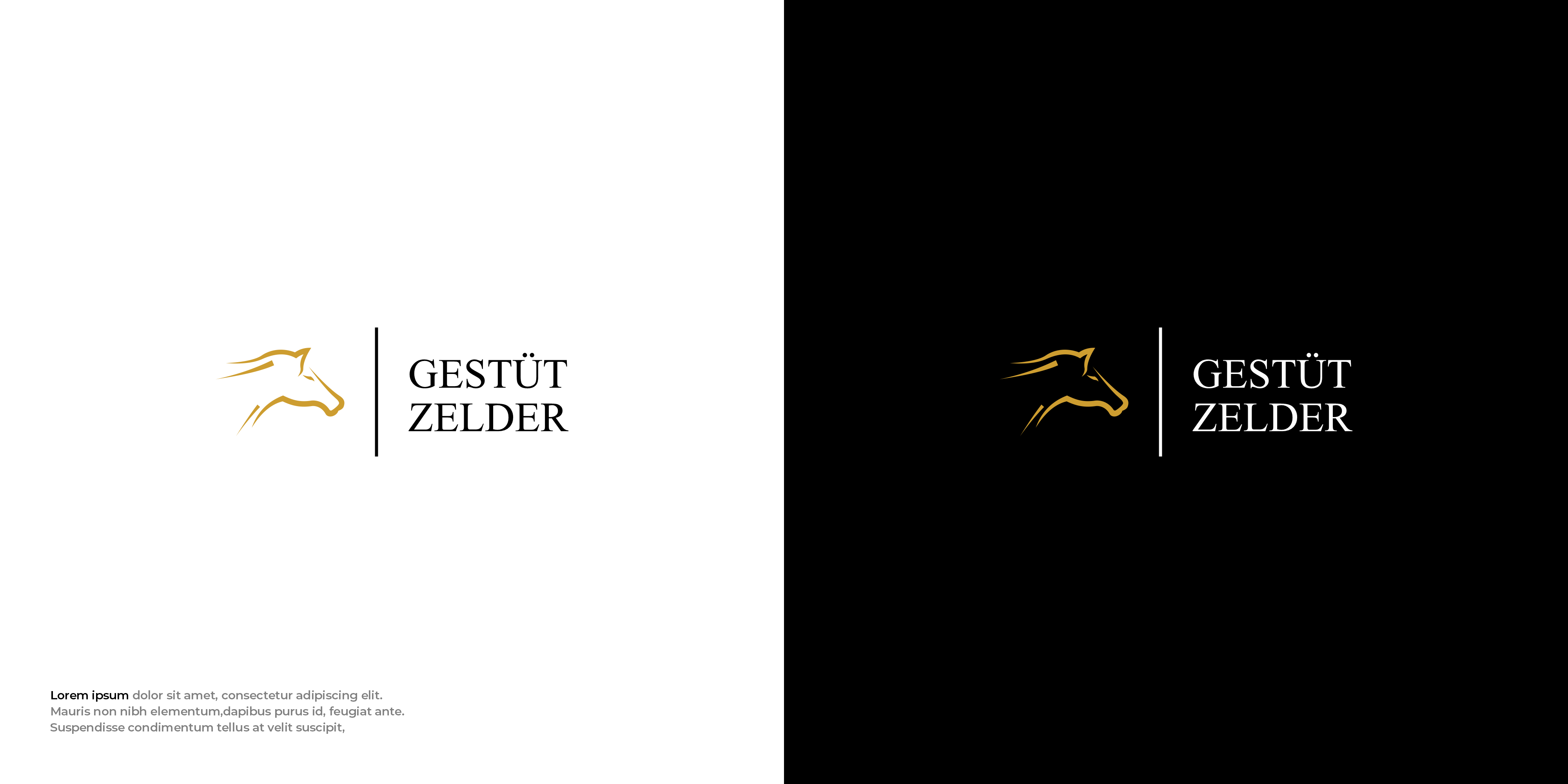 Logo Design by Mantra™ for Zeinpro GmbH | Design #35879944