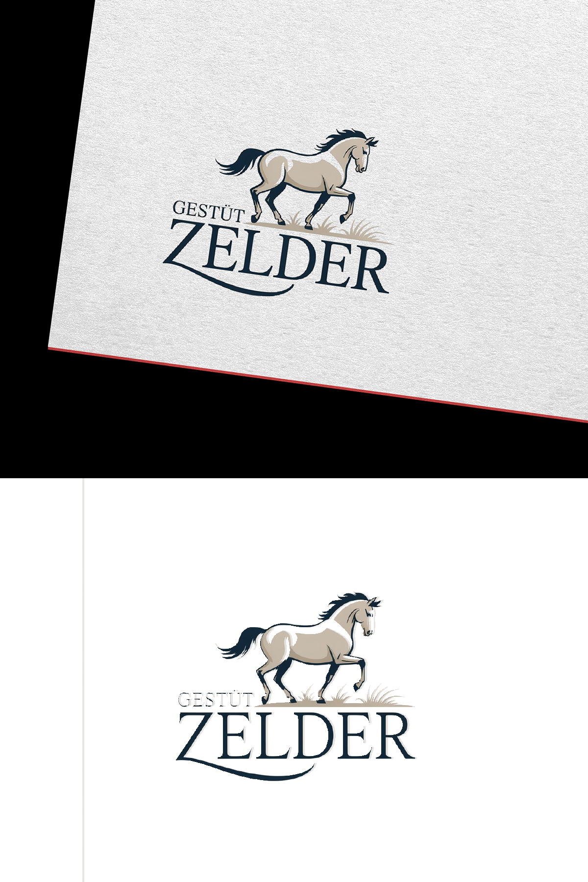 Logo Design by Sajee. for Zeinpro GmbH | Design #35877446
