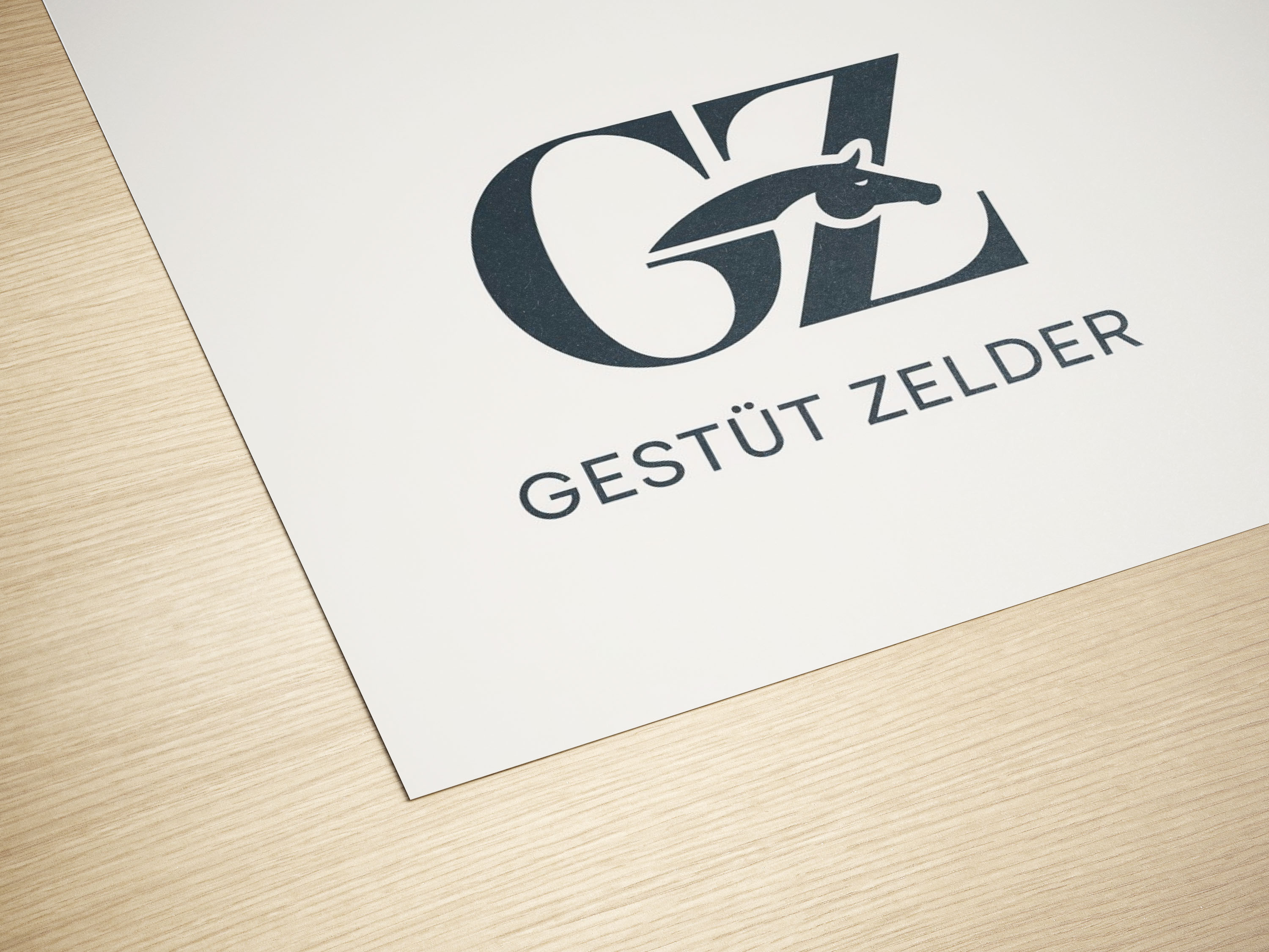 Design de Logo par PixelCraft Designs pour Zeinpro GmbH | Design #35877379
