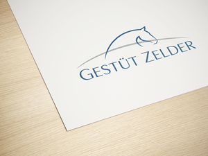 Logo Design by PixelCraft Designs for Zeinpro GmbH | Design: #35877384