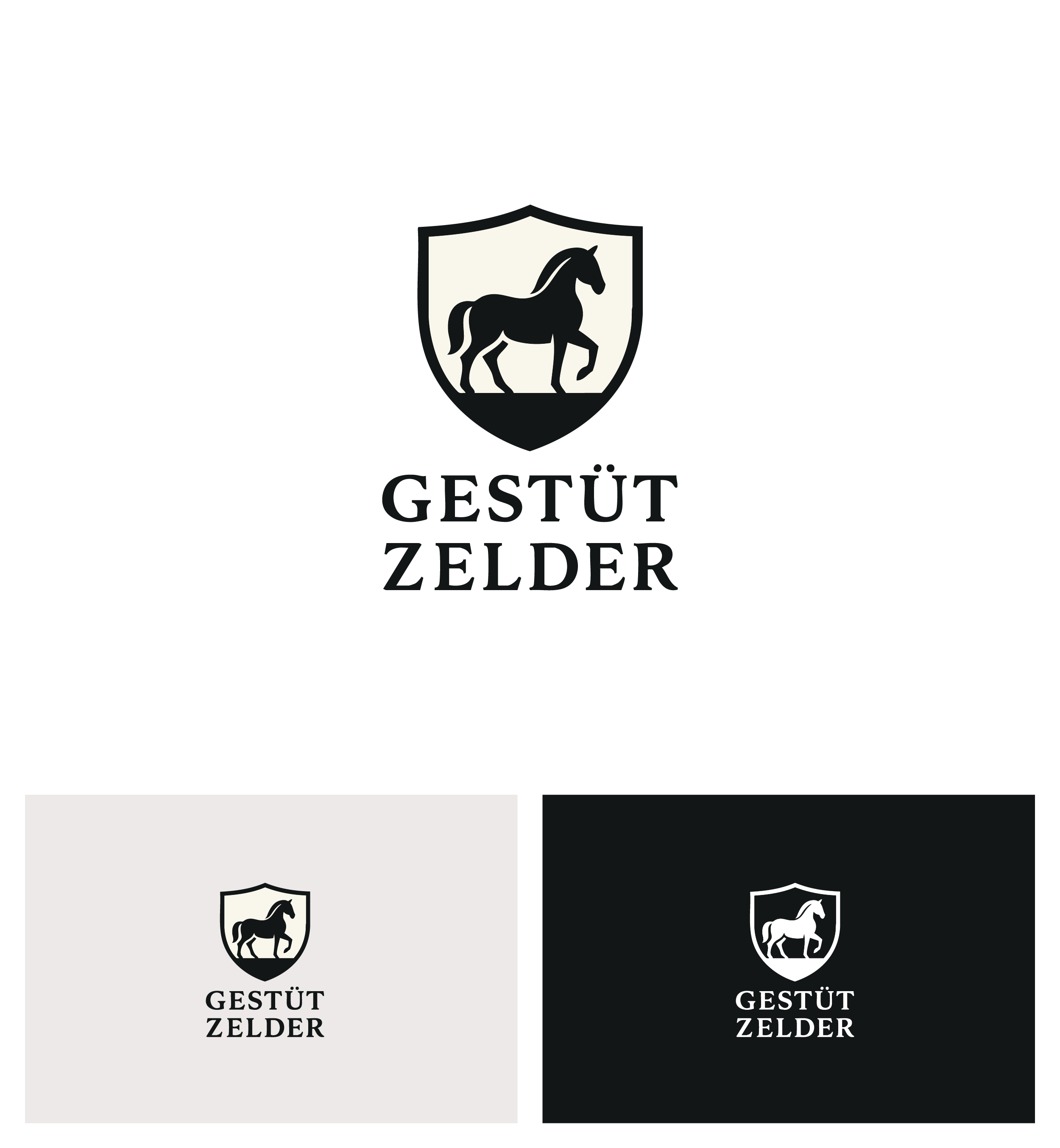 Logo Design by Afsana_Hoque for Zeinpro GmbH | Design #35875931