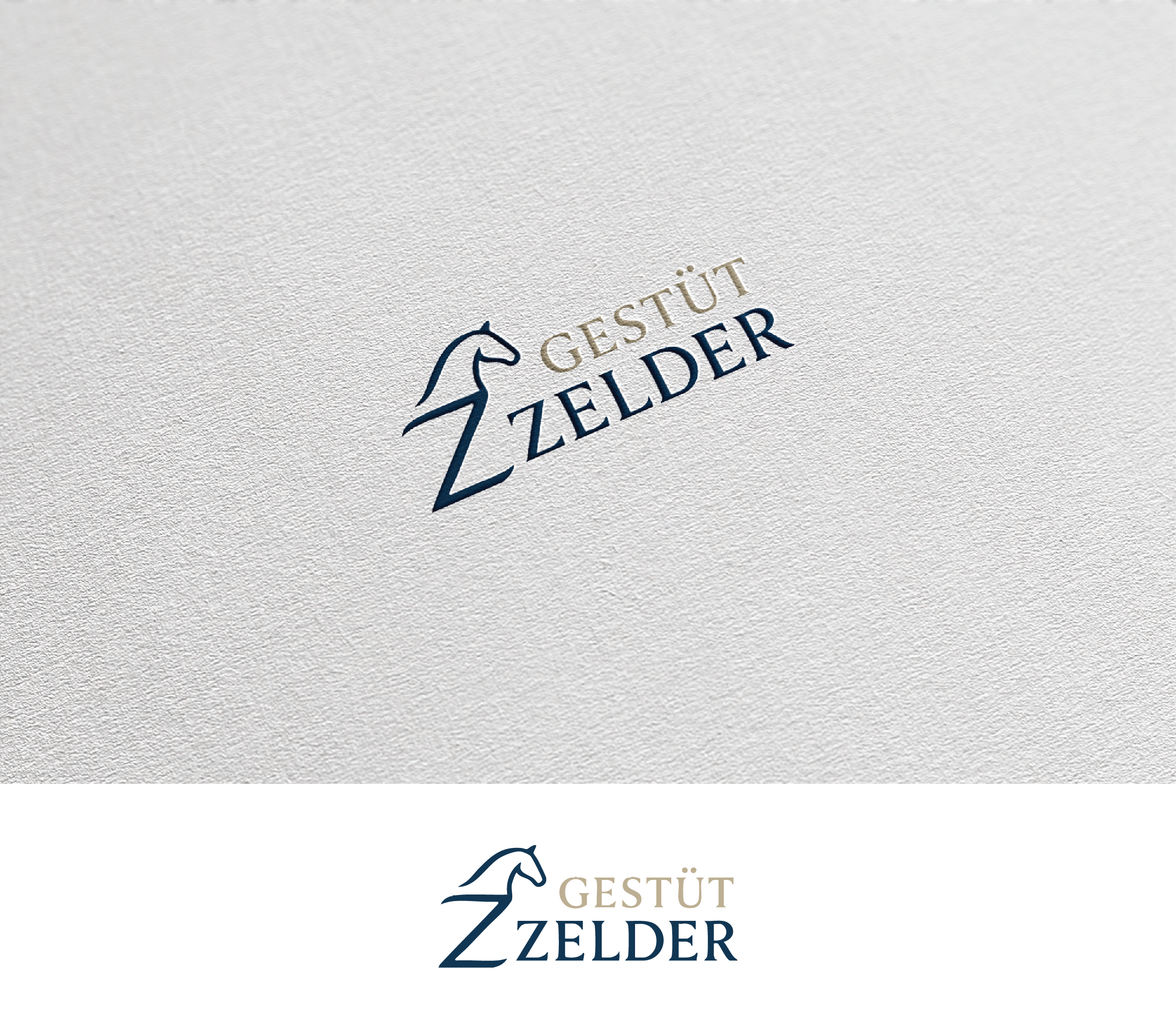 Logo Design by Afsana_Hoque for Zeinpro GmbH | Design #35875932