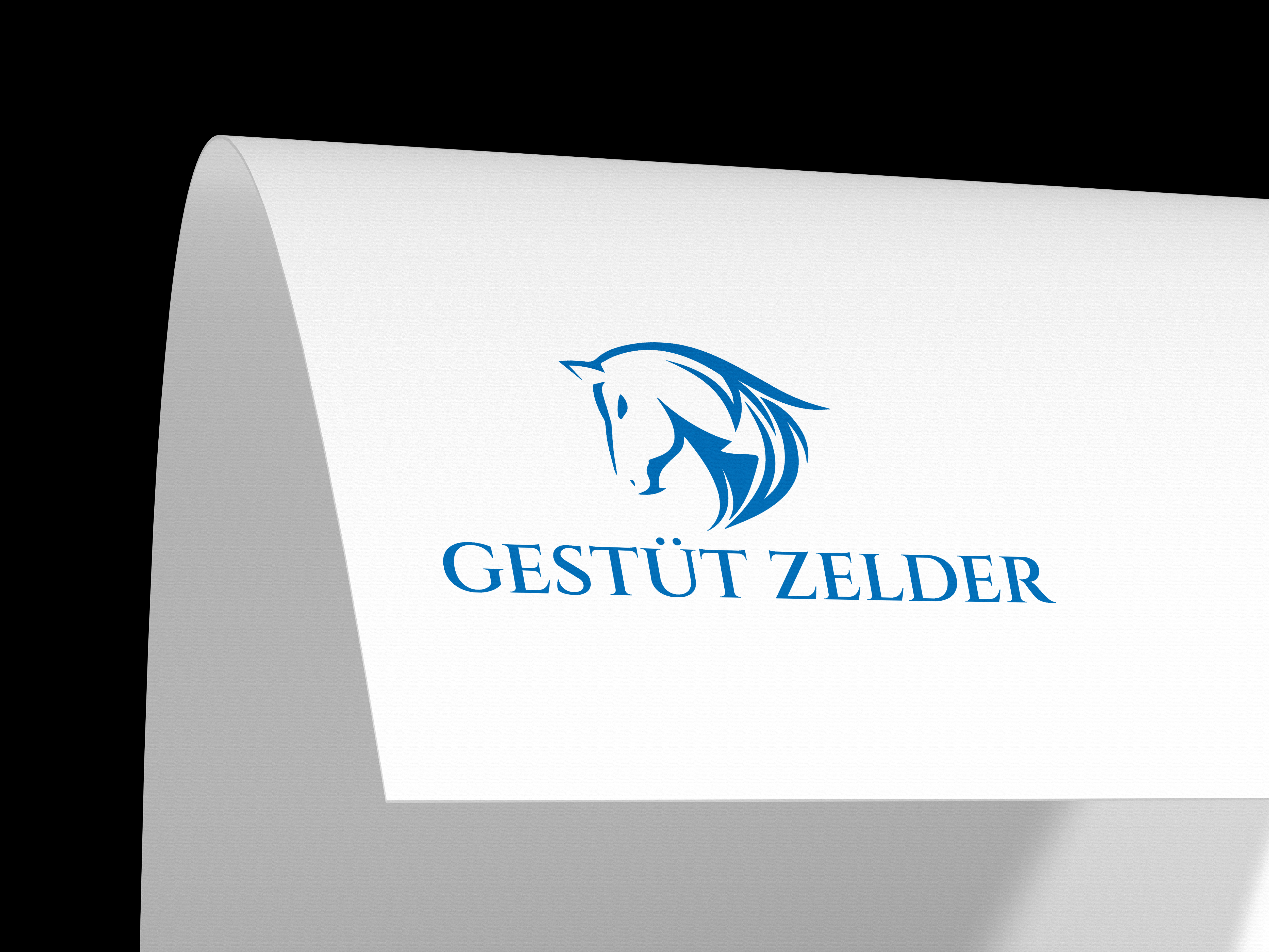 Logo-Design von GraphiqueLab für Zeinpro GmbH | Design #35877544