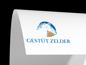 Logo Design by GraphiqueLab for Zeinpro GmbH | Design: #35877545
