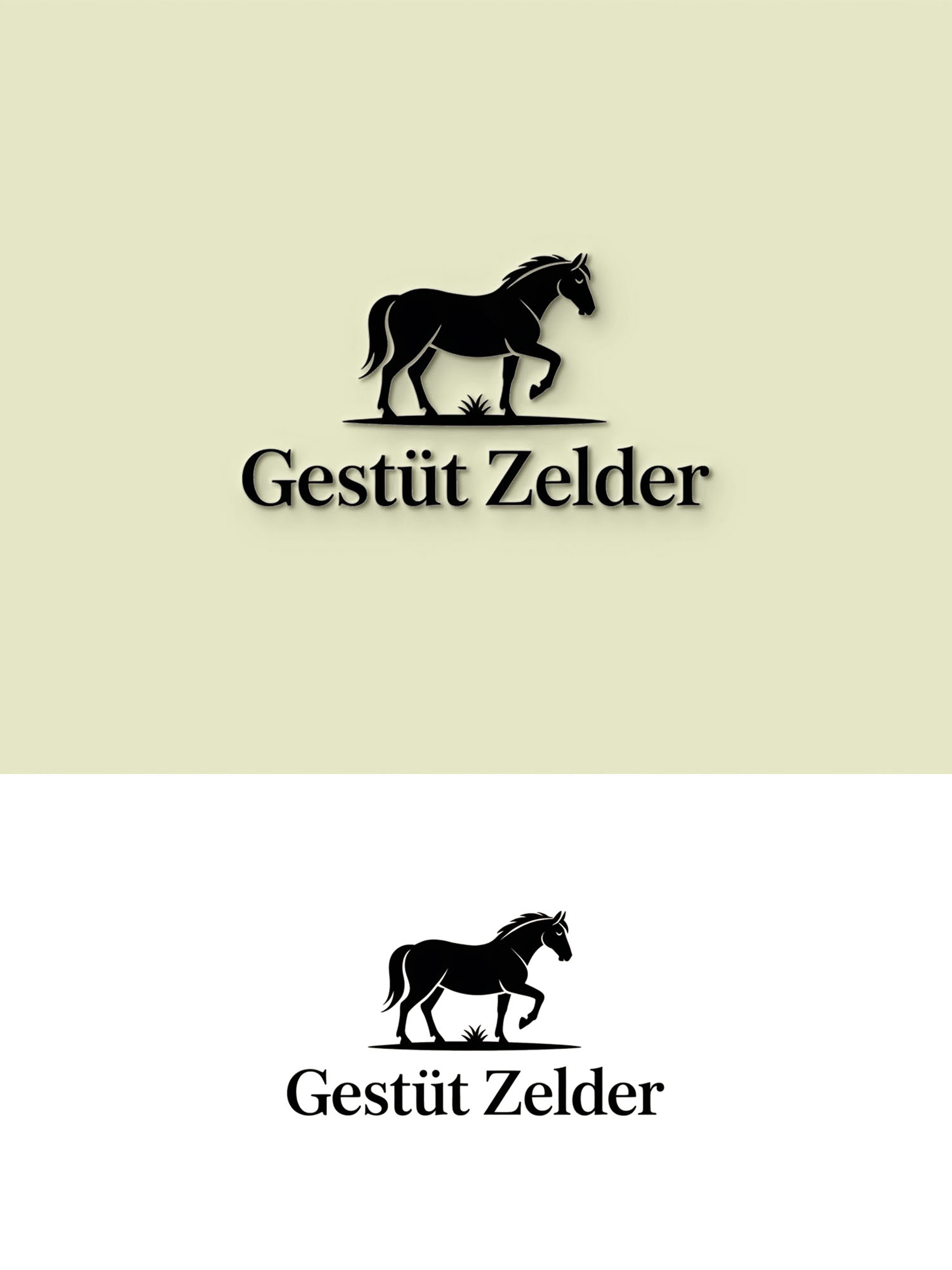 Diseño de Logo por Being  Designer para Zeinpro GmbH | Diseño #35907711
