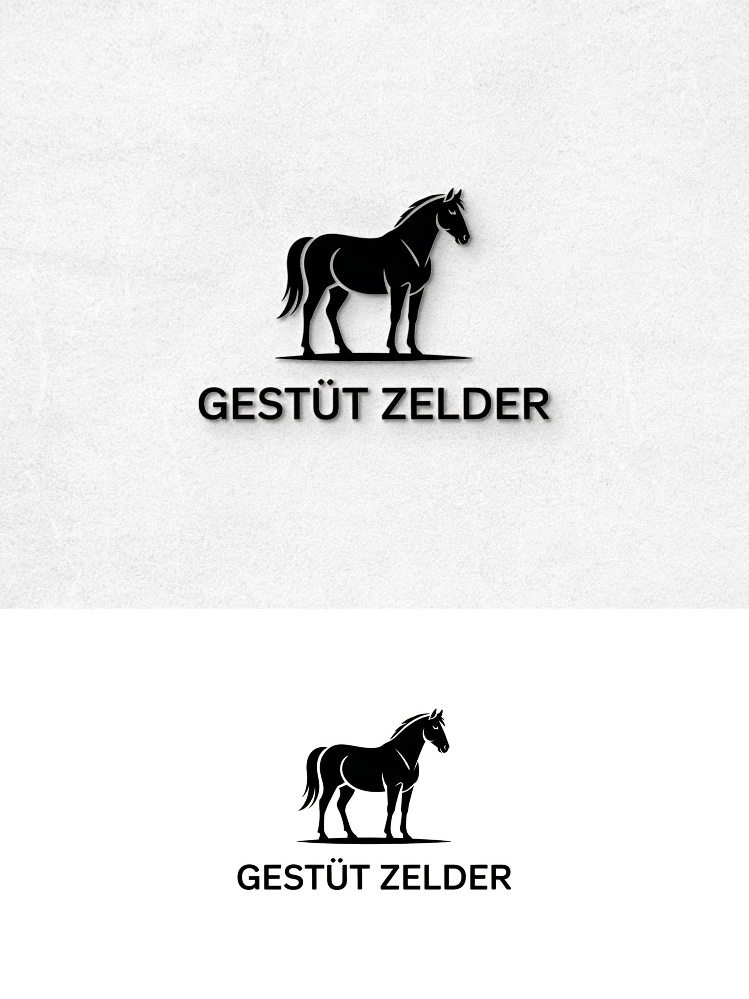 Diseño de Logo por Being  Designer para Zeinpro GmbH | Diseño #35907713