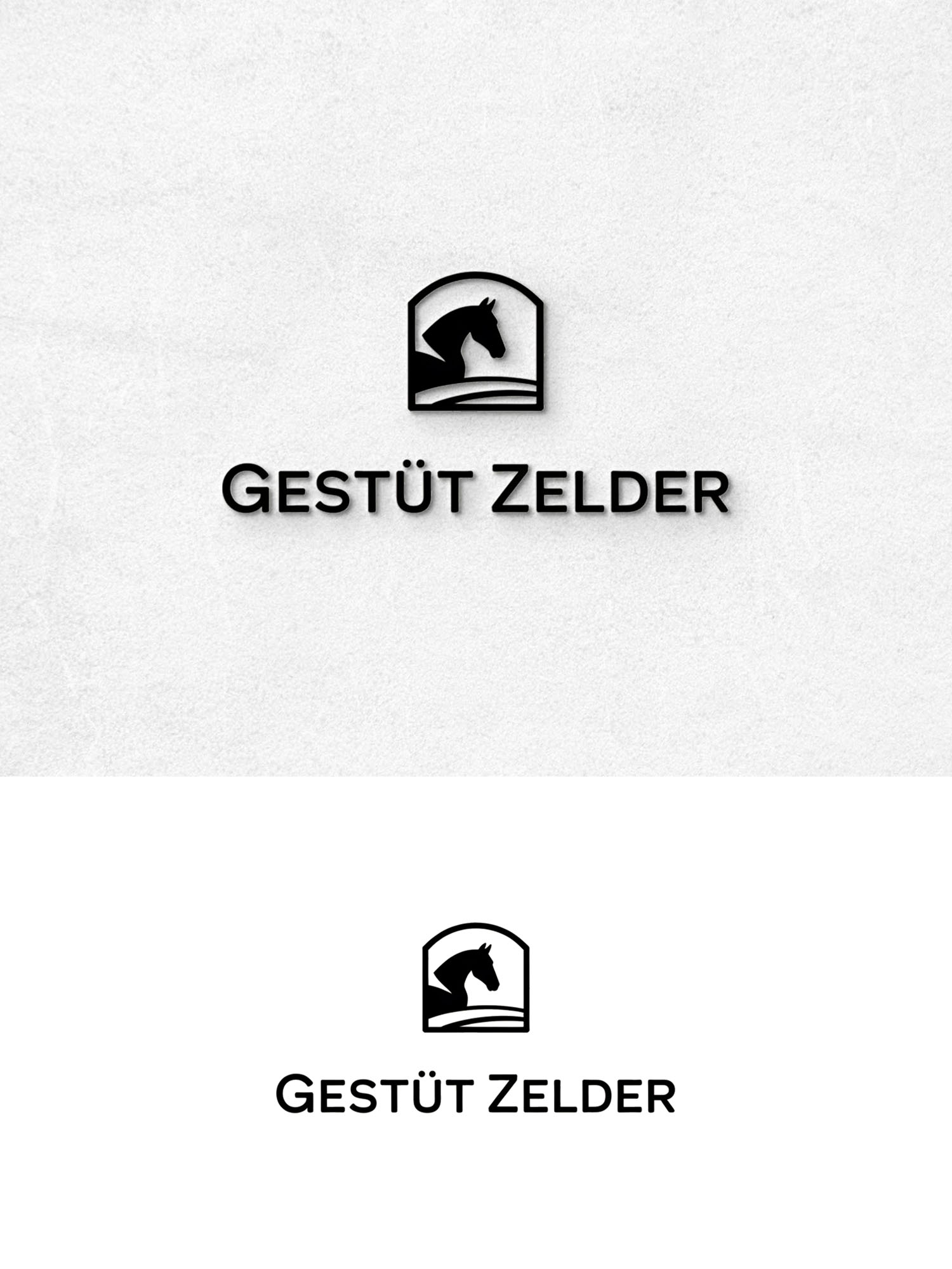 Diseño de Logo por Being  Designer para Zeinpro GmbH | Diseño #35907714