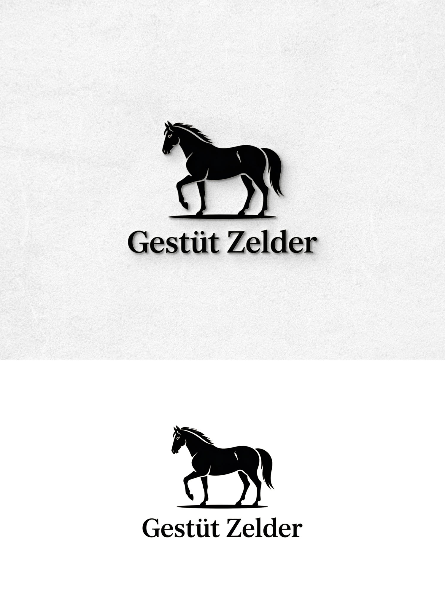 Logo Design by Being  Designer for Zeinpro GmbH | Design #35907715