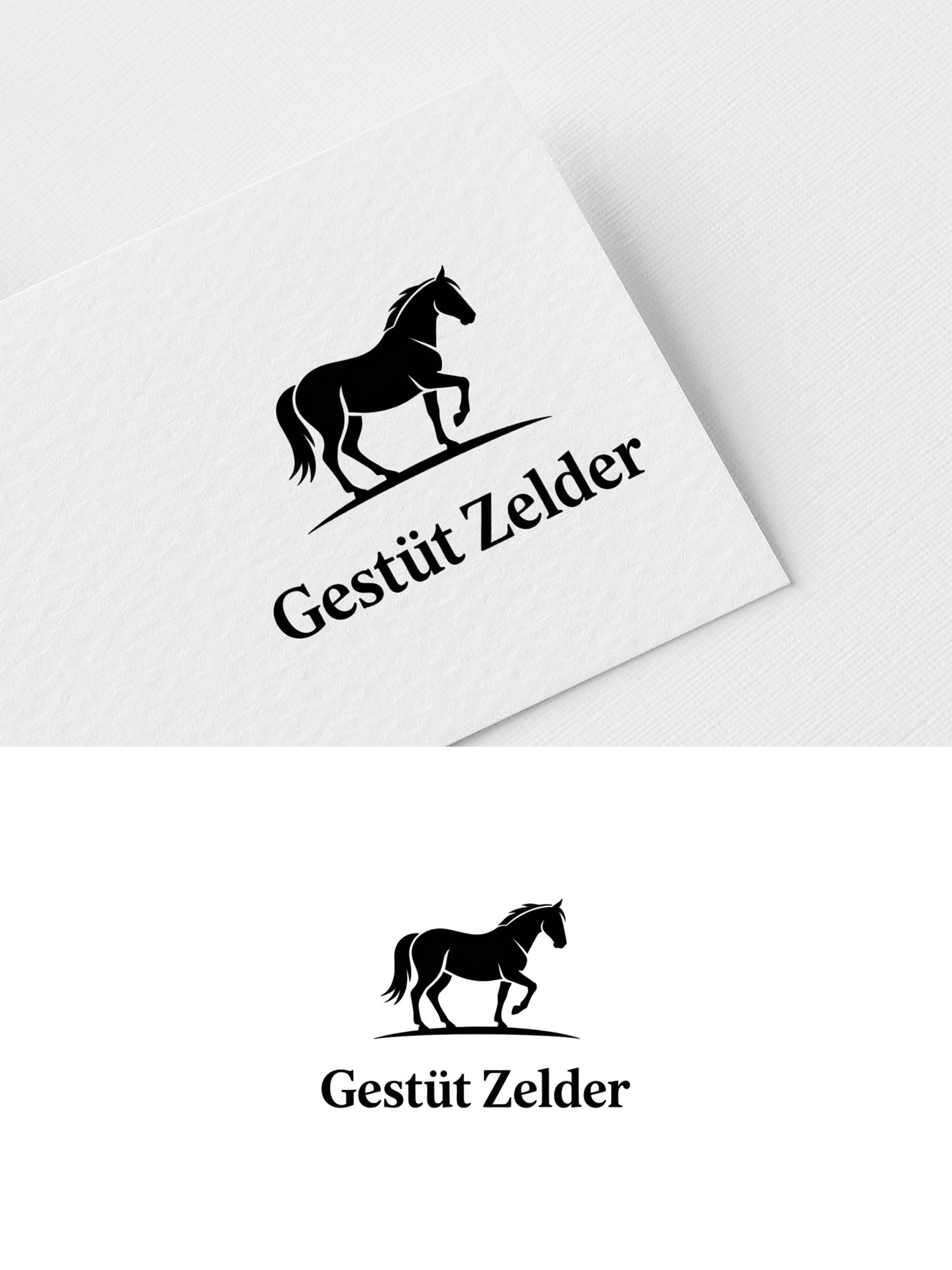 Logo-Design von Being  Designer für Zeinpro GmbH | Design #35907719