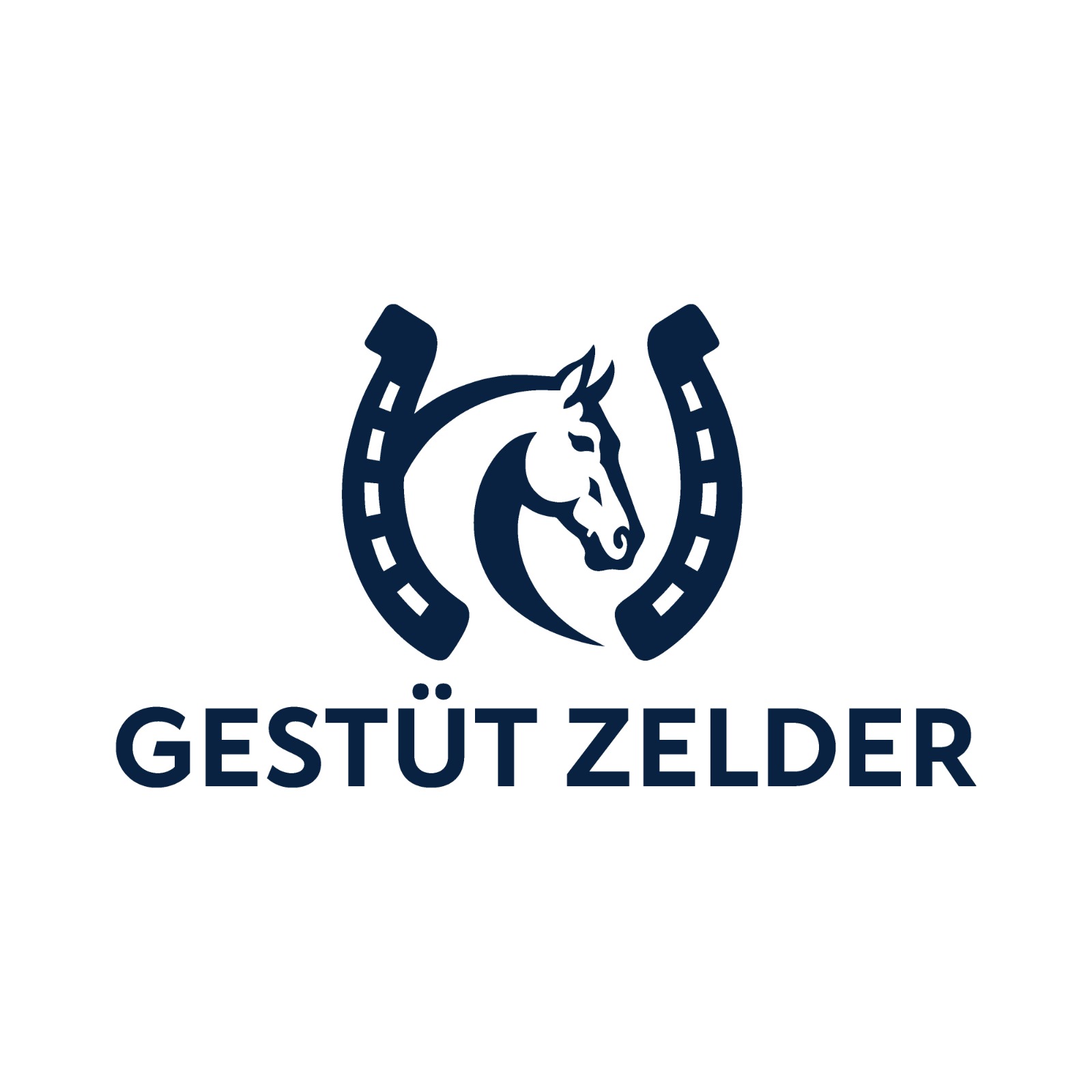 Design de Logo par abcd.. pour Zeinpro GmbH | Design #35900085