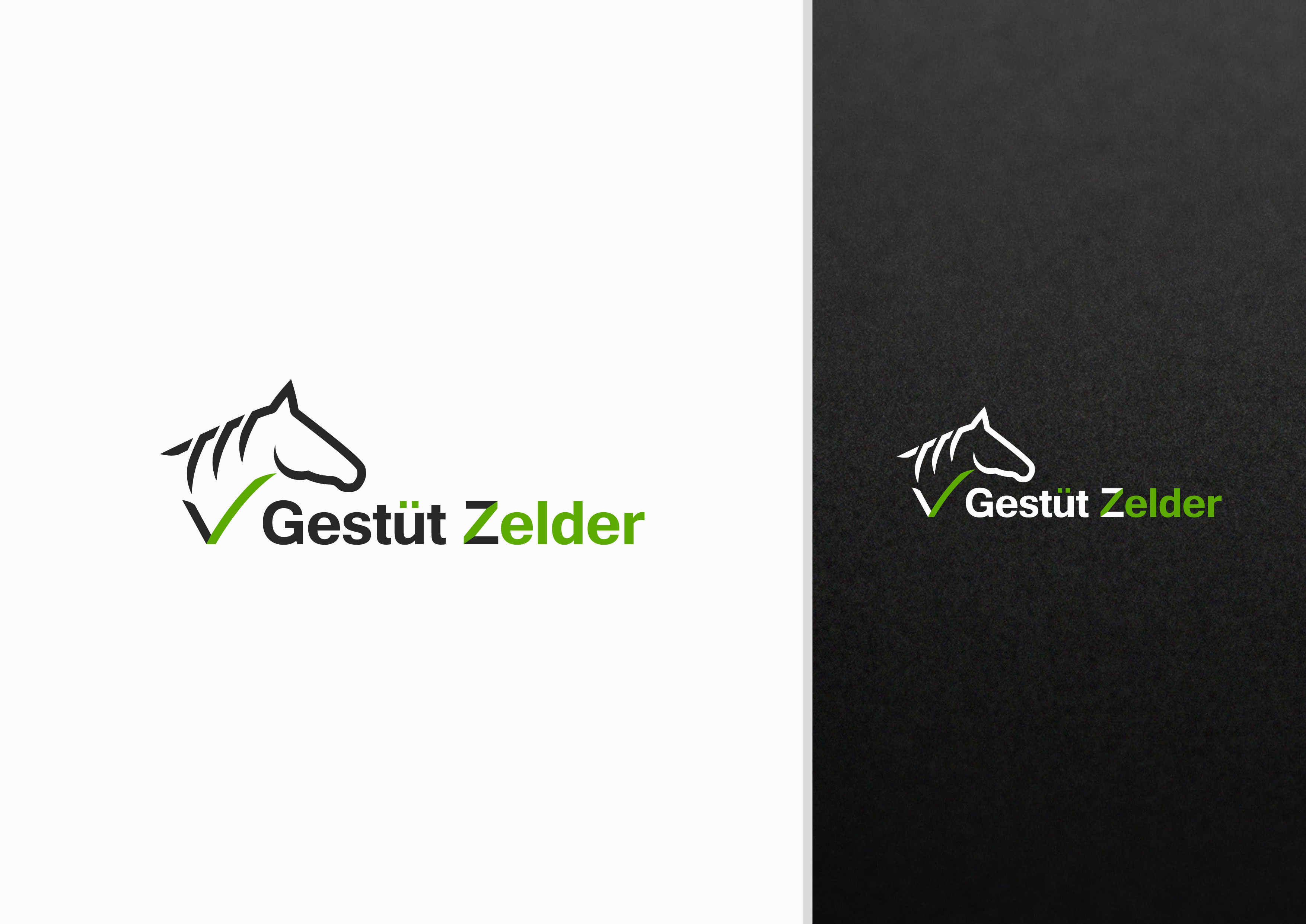 Diseño de Logo por DiLion para Zeinpro GmbH | Diseño #35876167