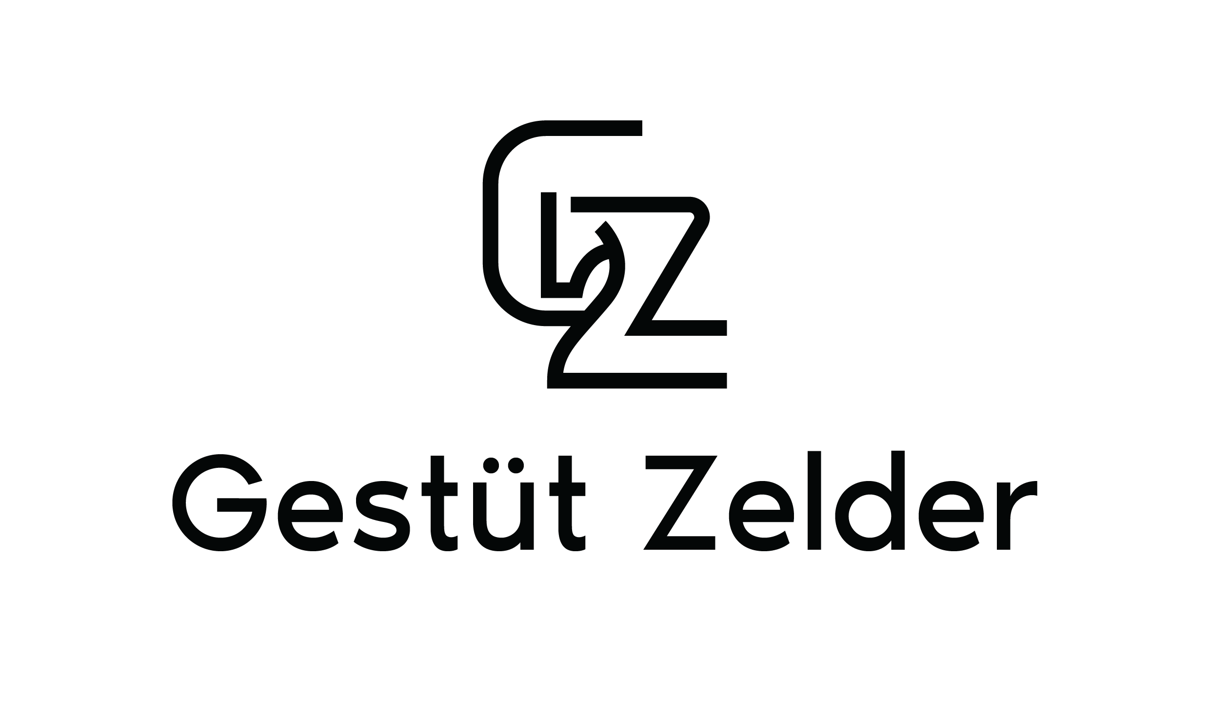 Logo Design by Grafactory for Zeinpro GmbH | Design #35885958