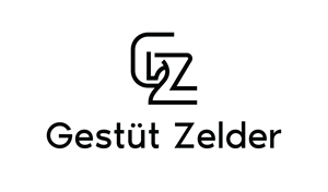 Logo Design by Grafactory for Zeinpro GmbH | Design: #35885958