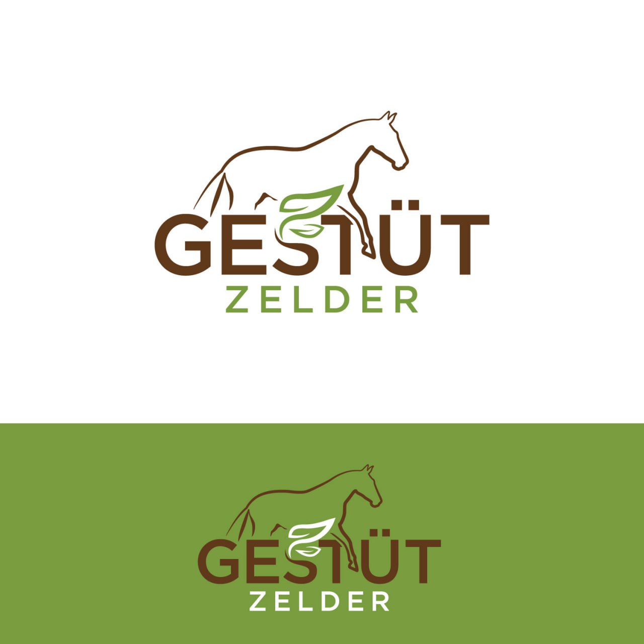 Logo Design by LAXMI DESIGNHUB for Zeinpro GmbH | Design #35878266