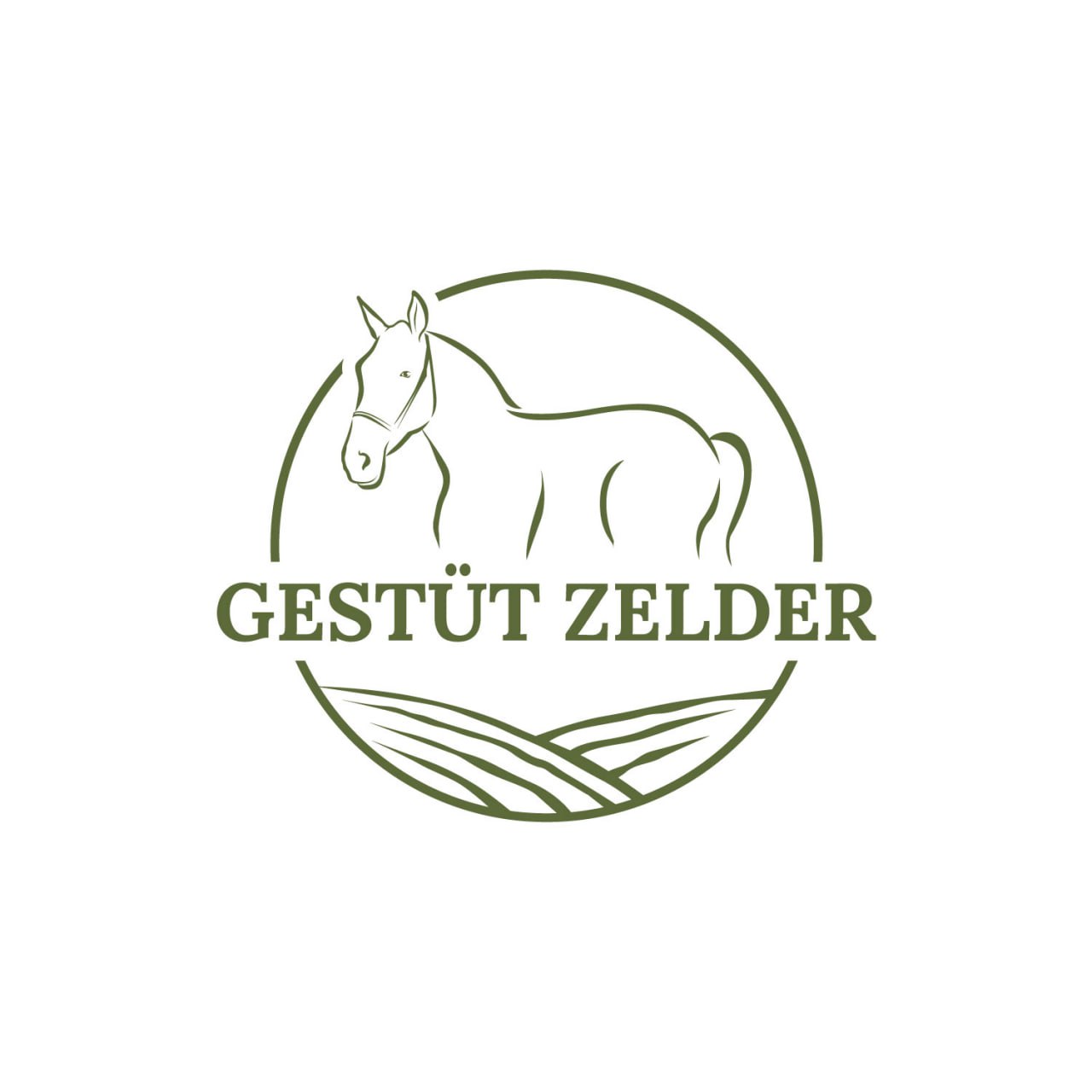 Design de Logo par LAXMI DESIGNHUB pour Zeinpro GmbH | Design #35878267