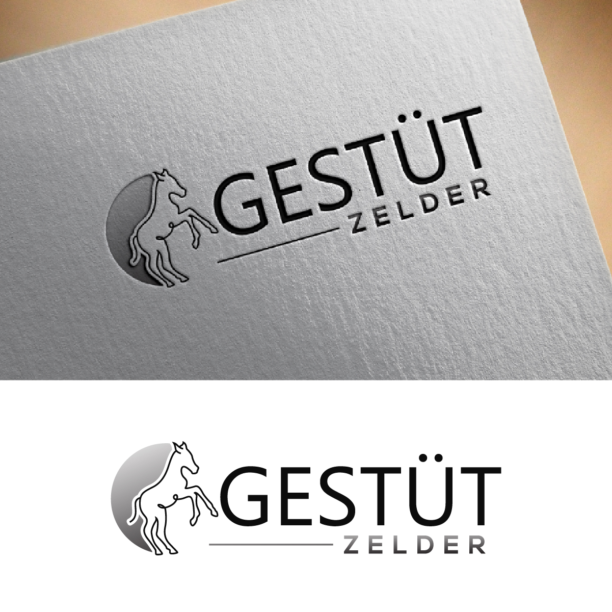 Logo Design by fly  design for Zeinpro GmbH | Design #35883880