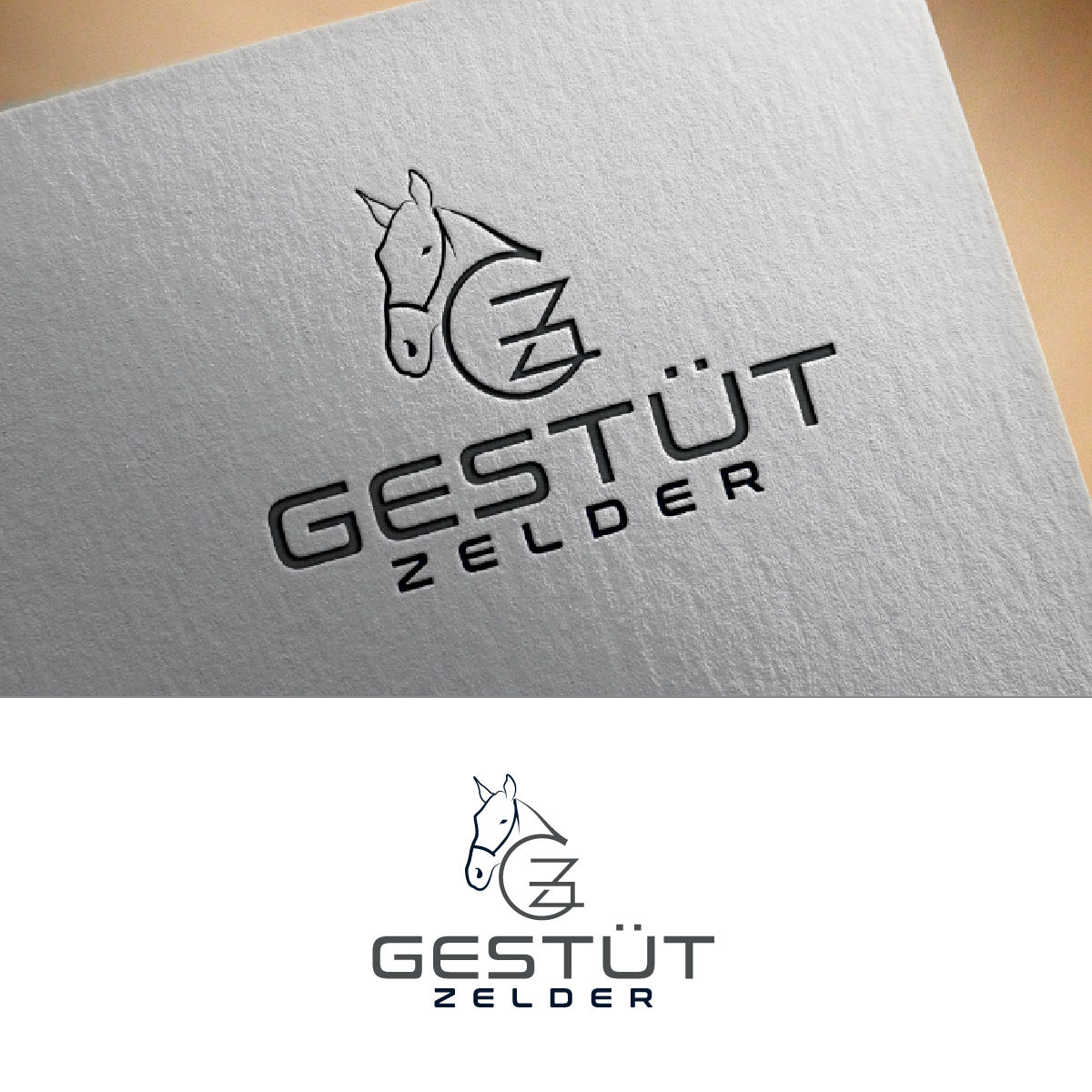 Logo Design by fly  design for Zeinpro GmbH | Design #35883881
