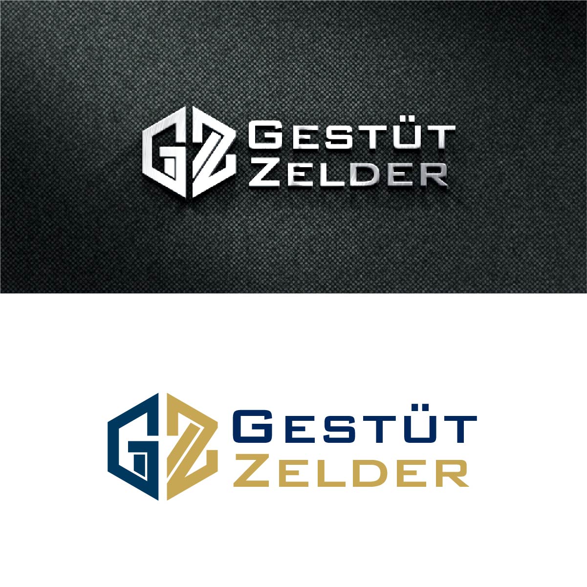Logo Design by fly  design for Zeinpro GmbH | Design #35883883