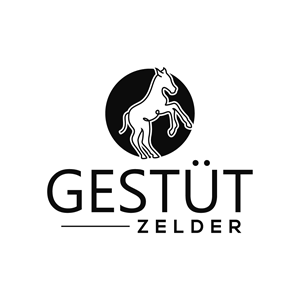 Logo Design by fly  design for Zeinpro GmbH | Design: #35891255