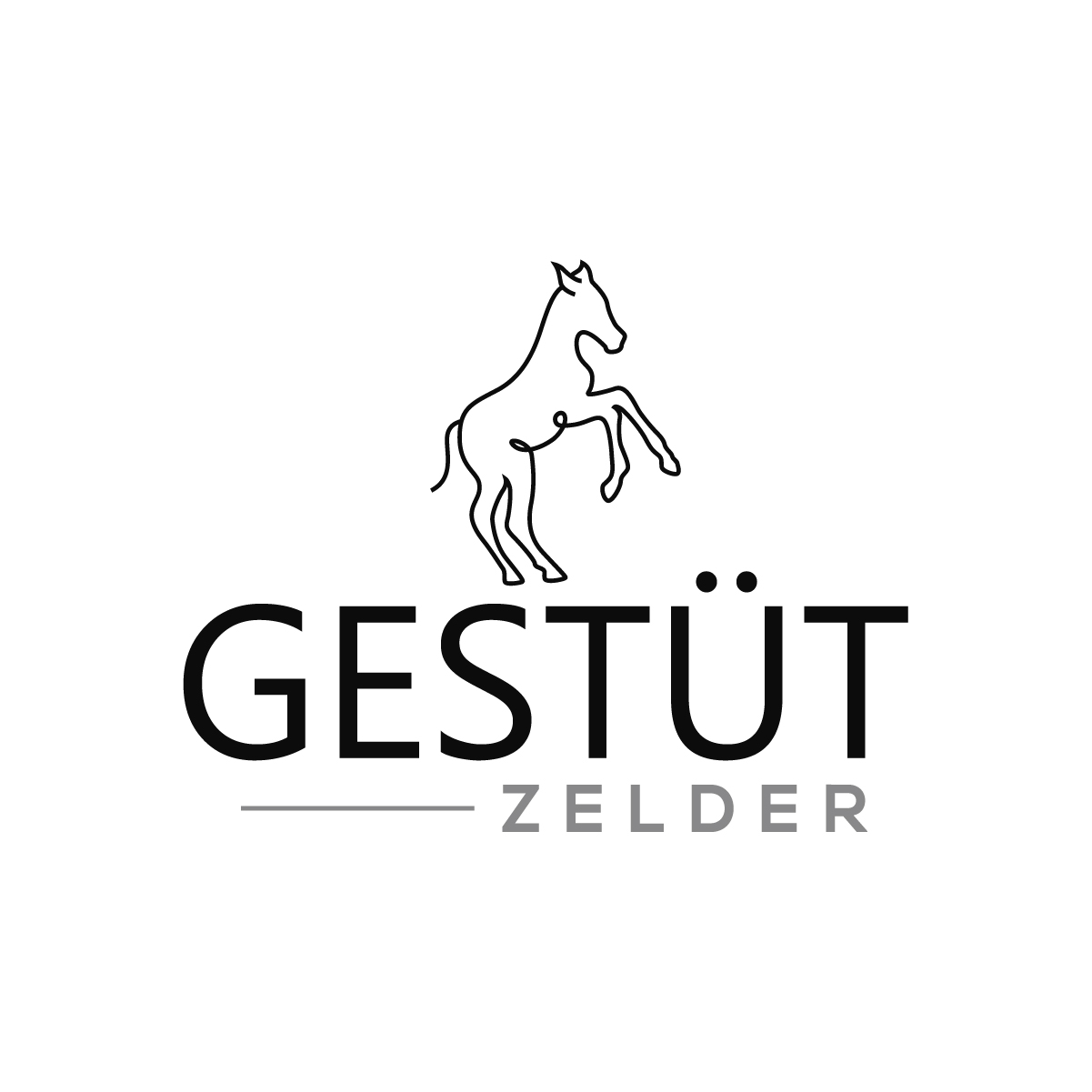 Logo Design by fly  design for Zeinpro GmbH | Design #35891256