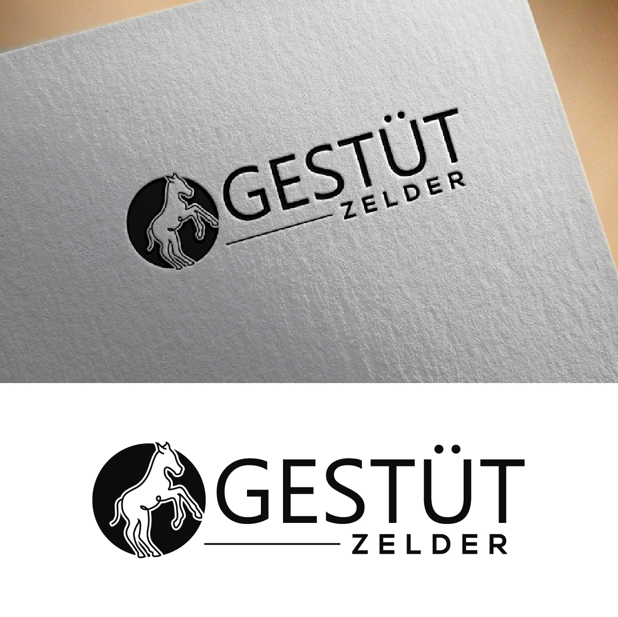 Logo Design by fly  design for Zeinpro GmbH | Design #35891257