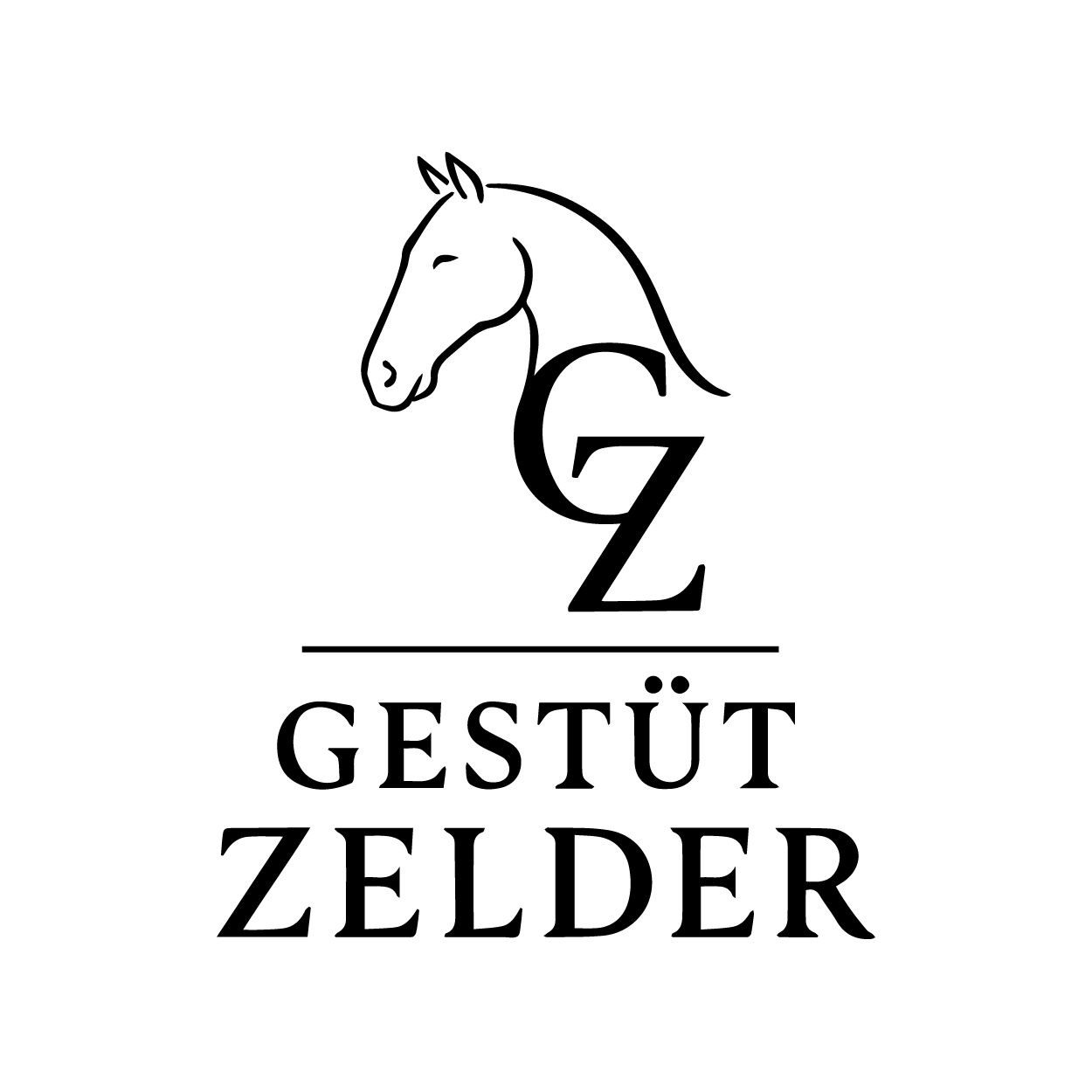 Logo Design by ahmeddesigner123 for Zeinpro GmbH | Design #35873961