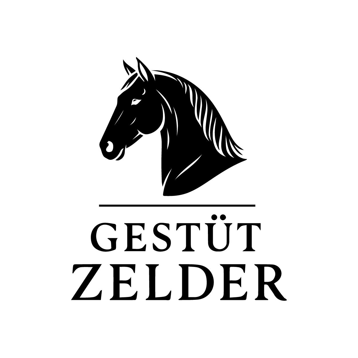 Logo Design by ahmeddesigner123 for Zeinpro GmbH | Design #35873962