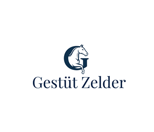 Logo Design by AlphaDezin3 for Zeinpro GmbH | Design: #35874283