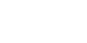 Logo Design by simpatiart for Zeinpro GmbH | Design: #36004764