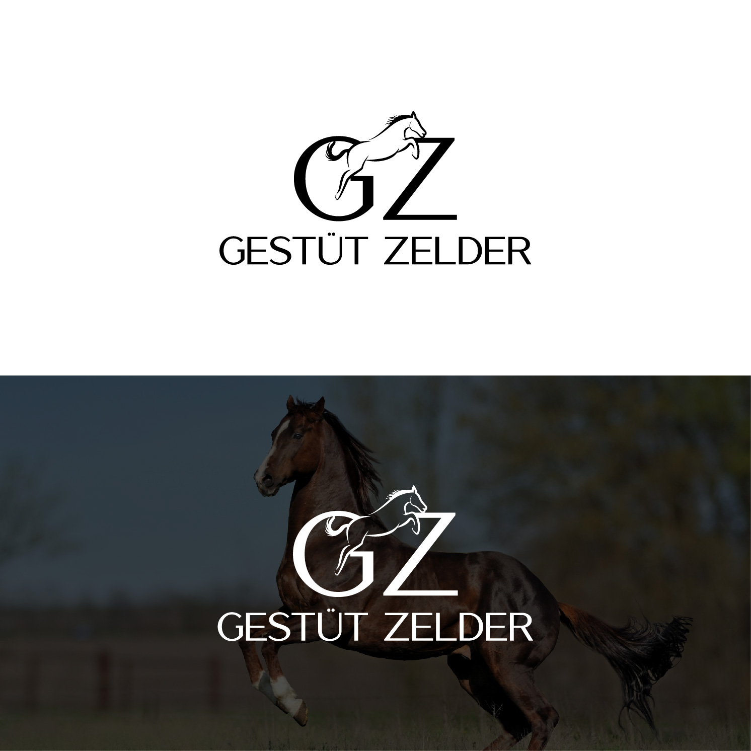 Logo Design by 4tech services for Zeinpro GmbH | Design #35873677
