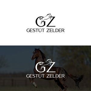 Logo Design by 4tech services for Zeinpro GmbH | Design: #35873677