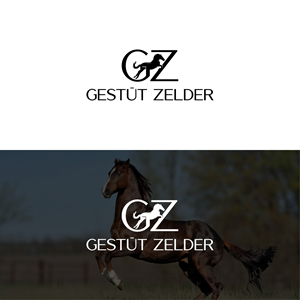 Logo Design by 4tech services for Zeinpro GmbH | Design: #35873678