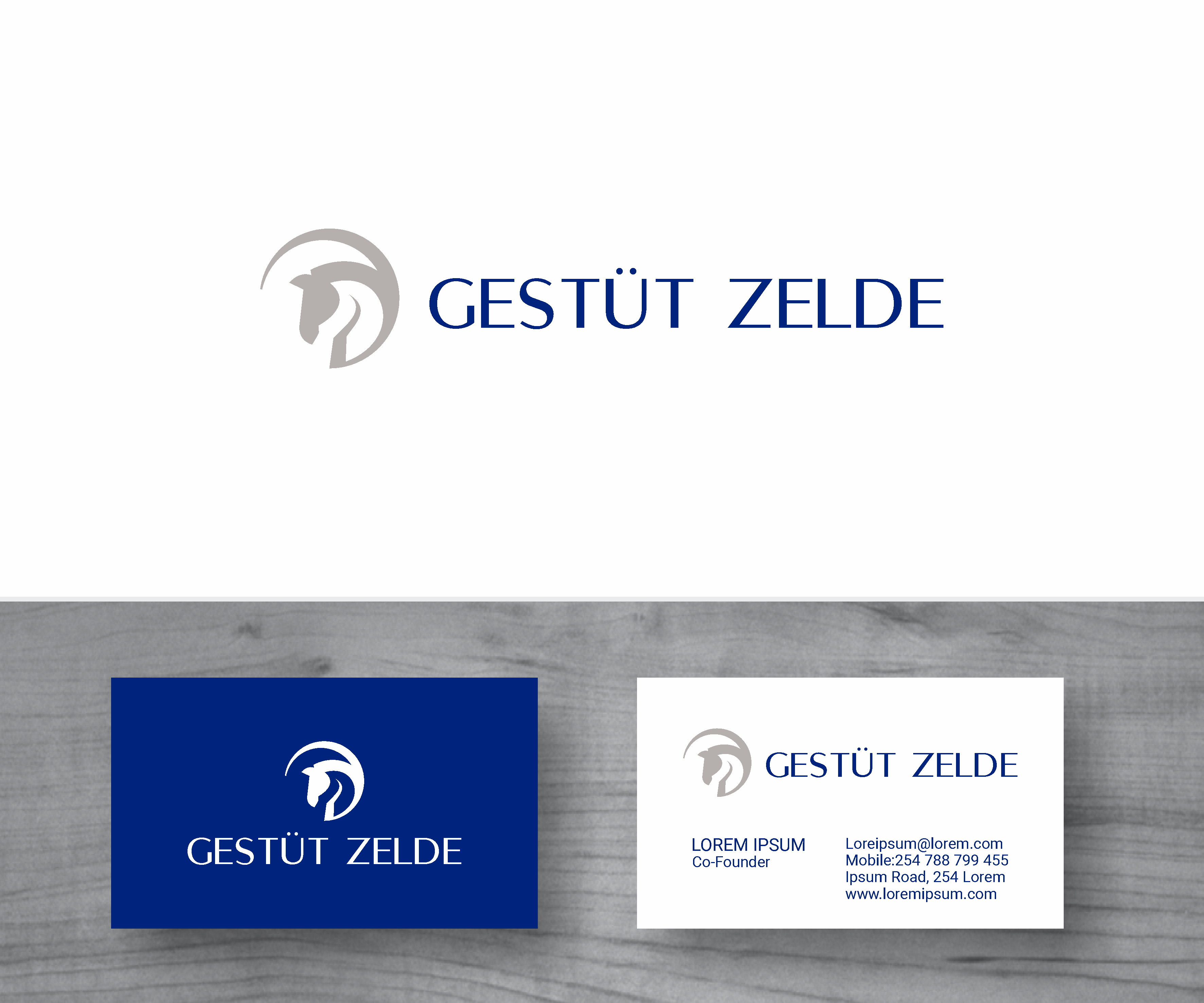 Design de Logo par MBARO pour Zeinpro GmbH | Design #35914490